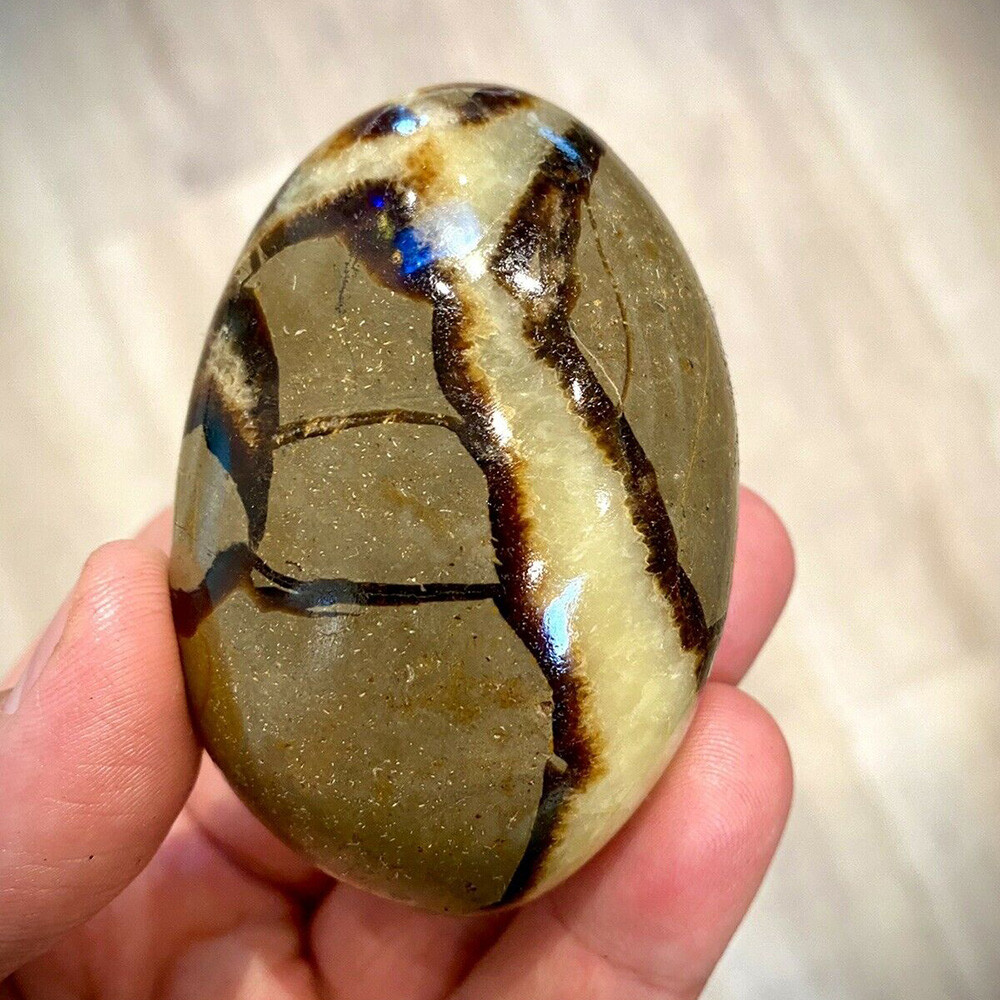 2PC Septarian Crystal Dragon Stone Healing Crystal Yoga Meditation Rock 3-4cm