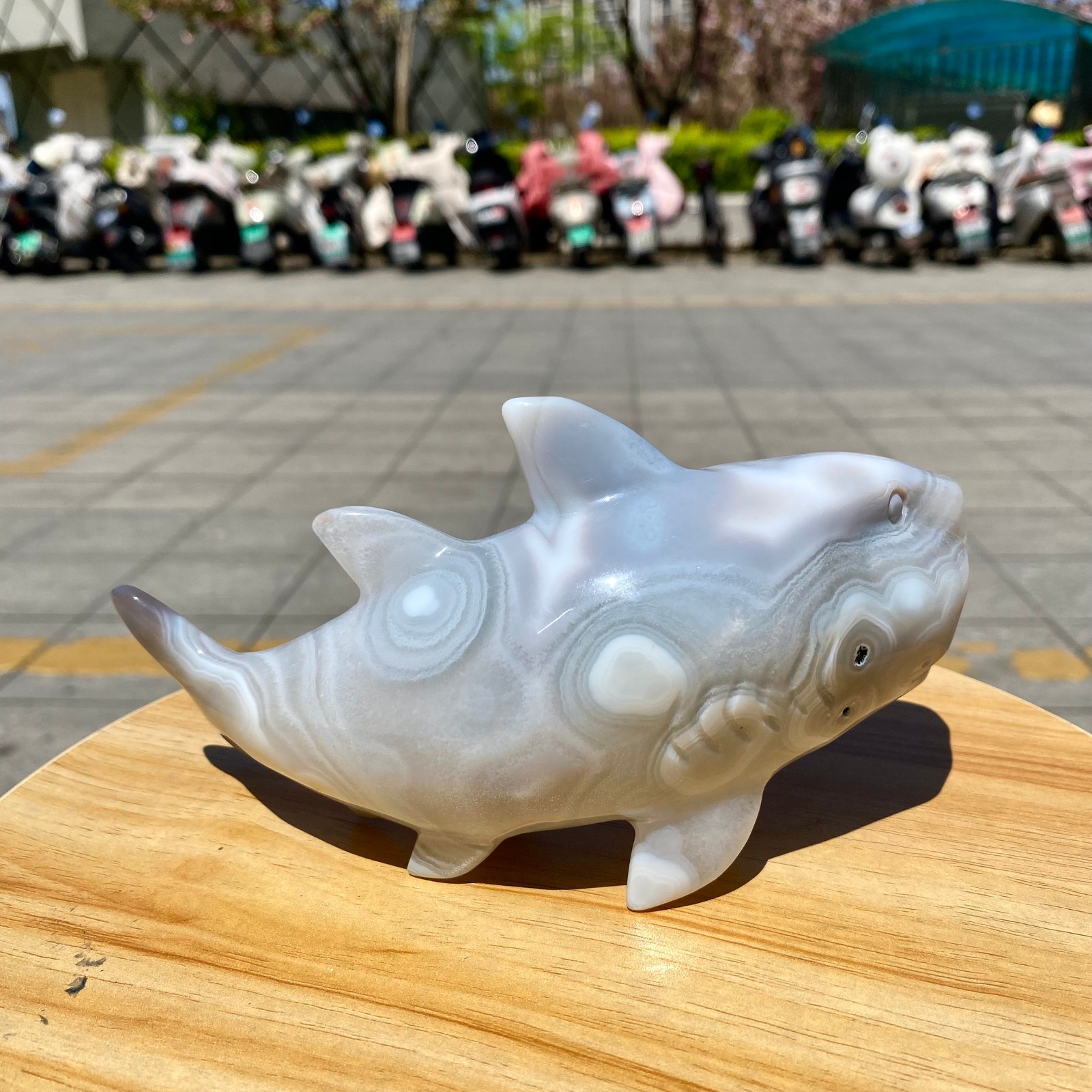 1.41LB Natural Agate Hand Carved Shark Figurine, Ocean Power Crystal Statue