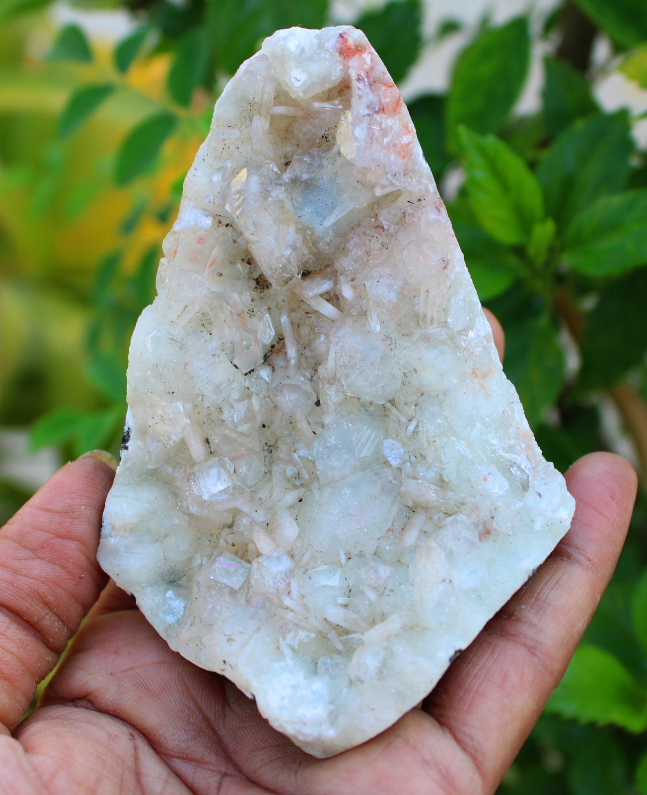 green apophyllite crystals on matrix minerals specimen #A43