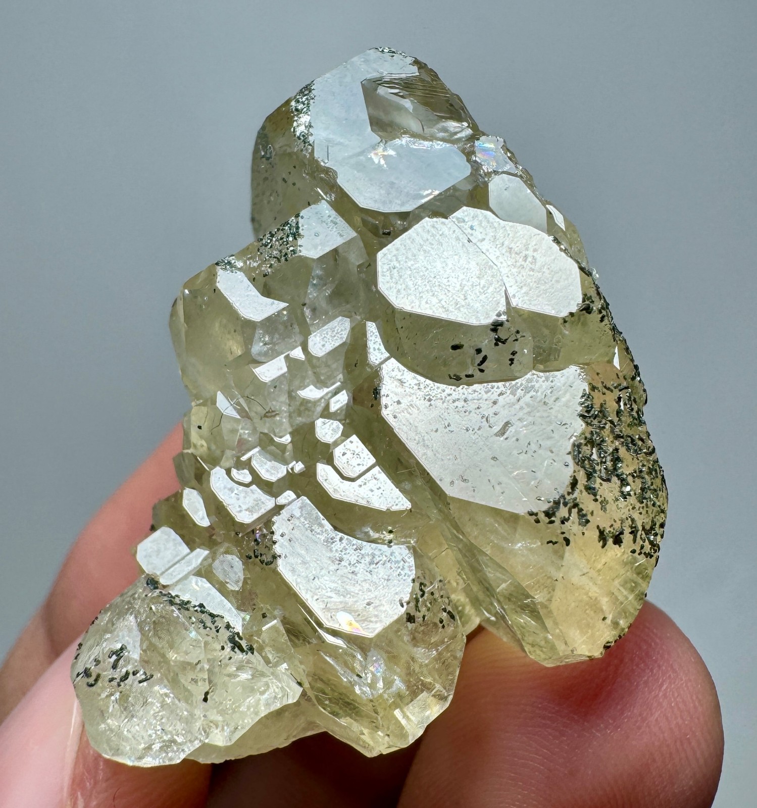 149 CT Full Terminated Cabinet Shape Yellow Apatite Transparent Crystals Cluster