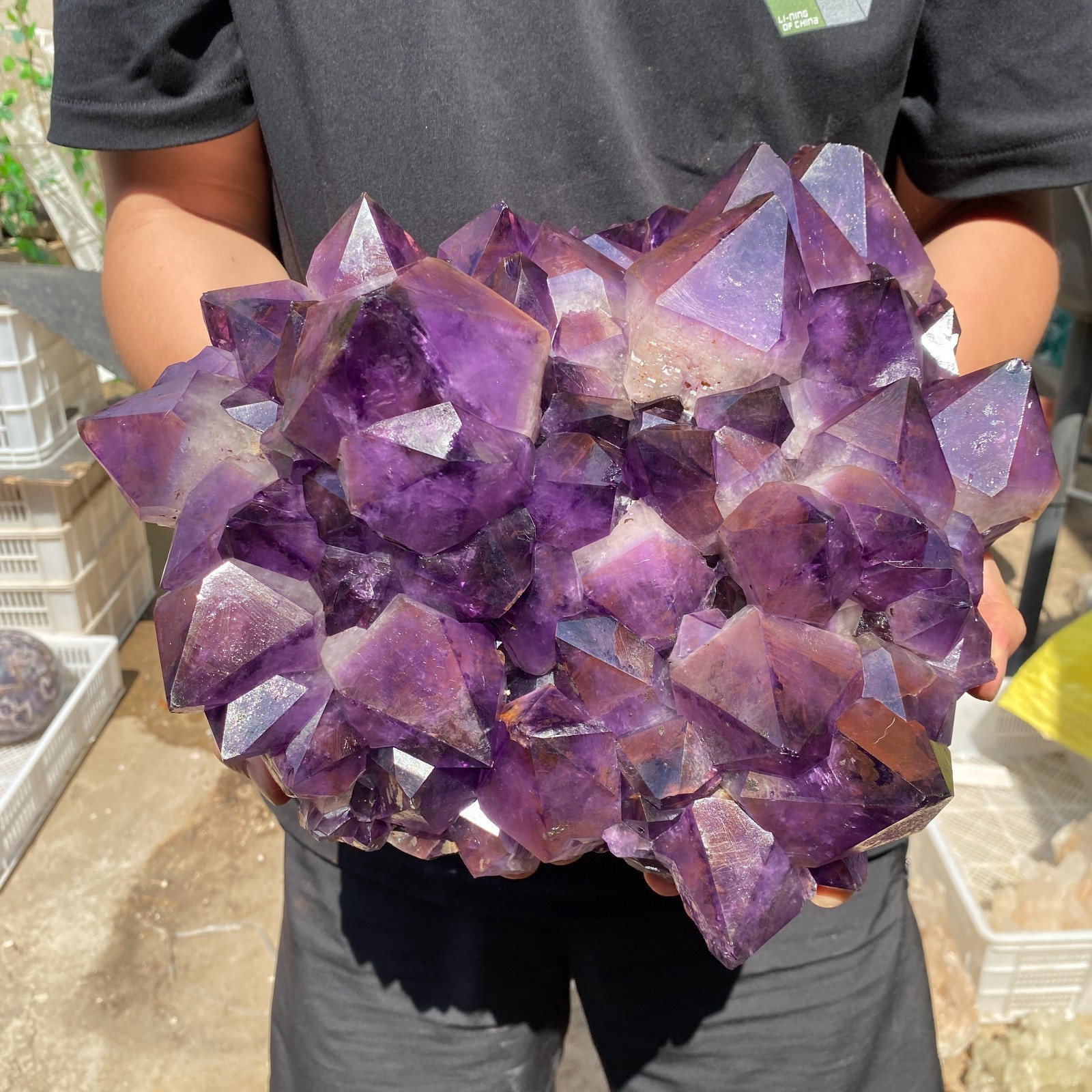 26.2lb Natural Amethyst geode quartz cluster crystal specimen Healing