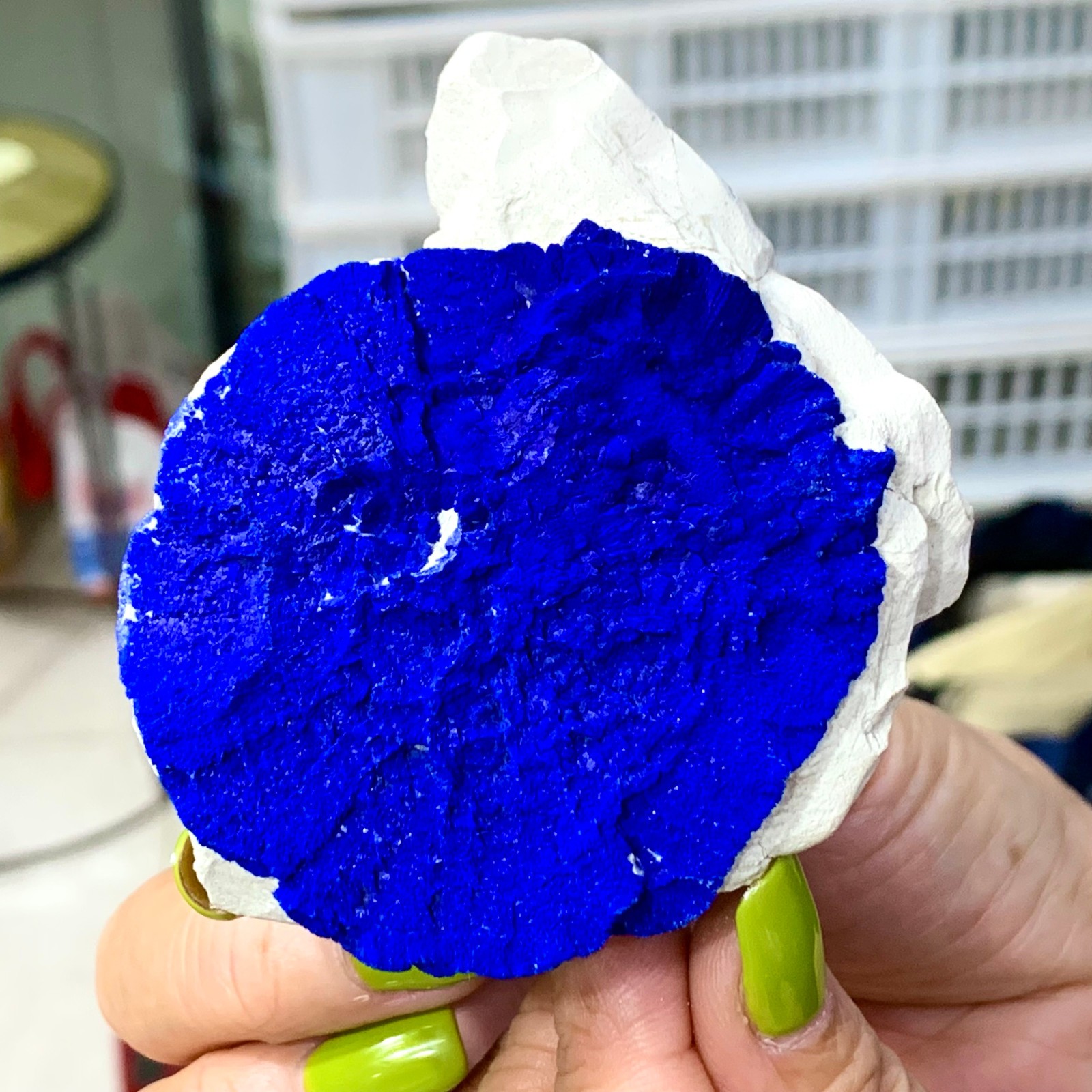 147G Sunflower azurite Fantastic Azurite Suns On Kaoline from Malbunka Australia