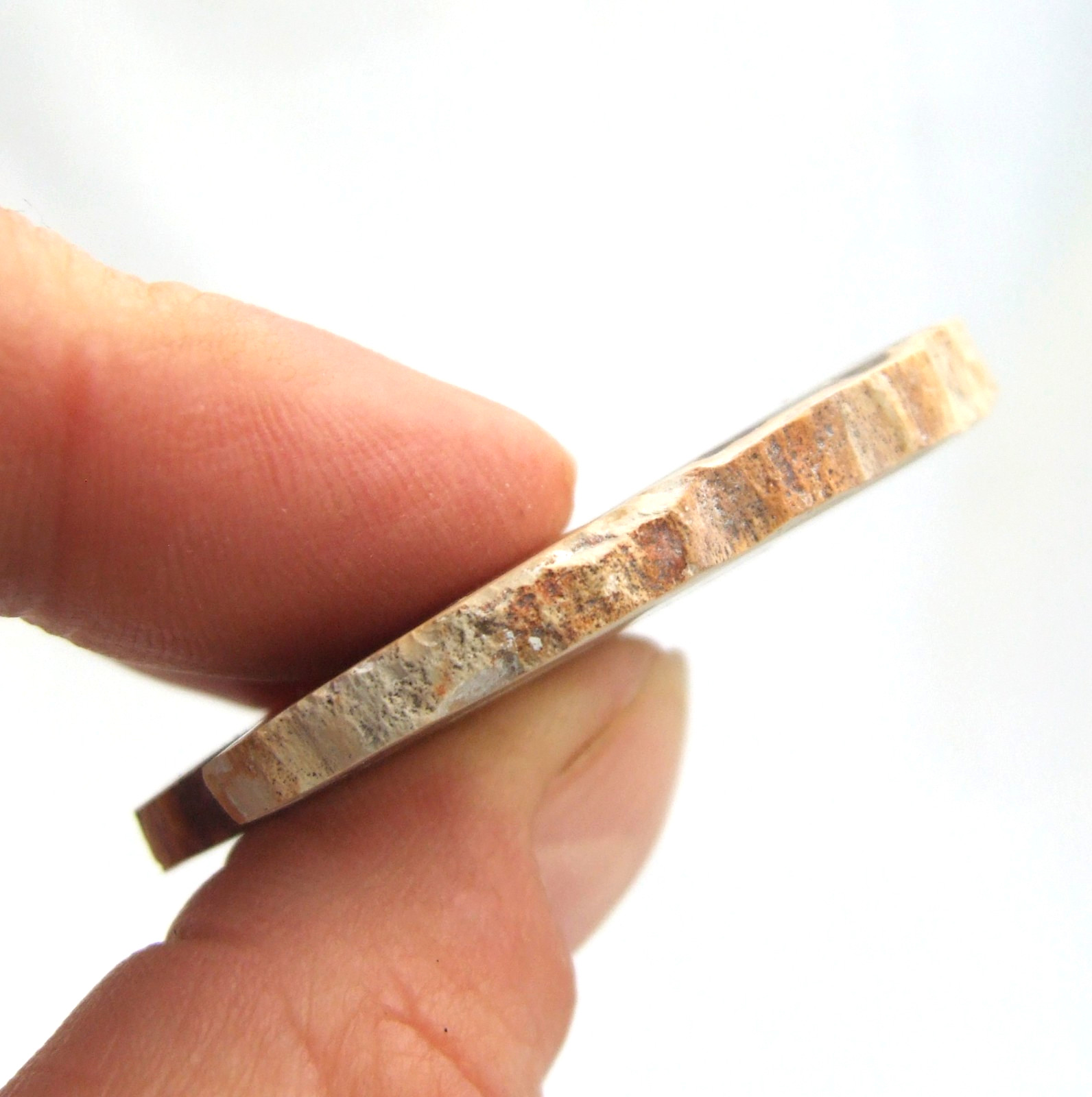 Fossil Petrified Wood Slice Madagascar Polished 4.5cm x 3cm 14g