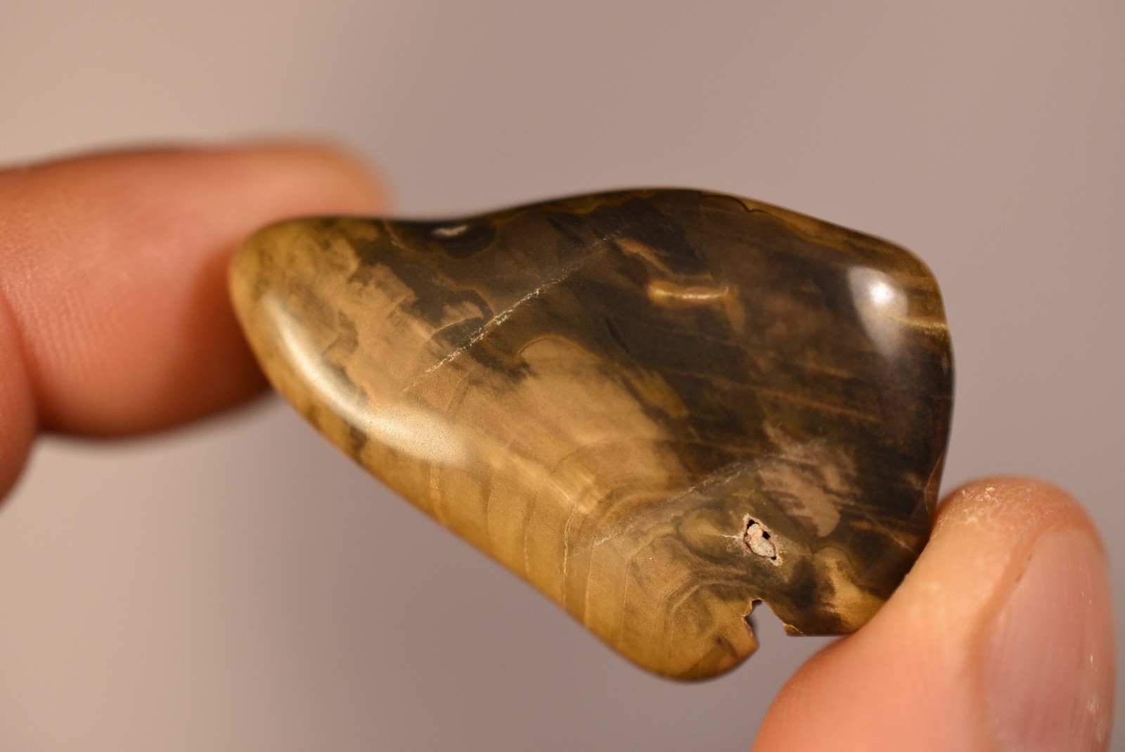 2 *AUSTRALIAN PETRIFIED WOOD* Tumbled Stones 4cm 58.2g Natural Stone QLD