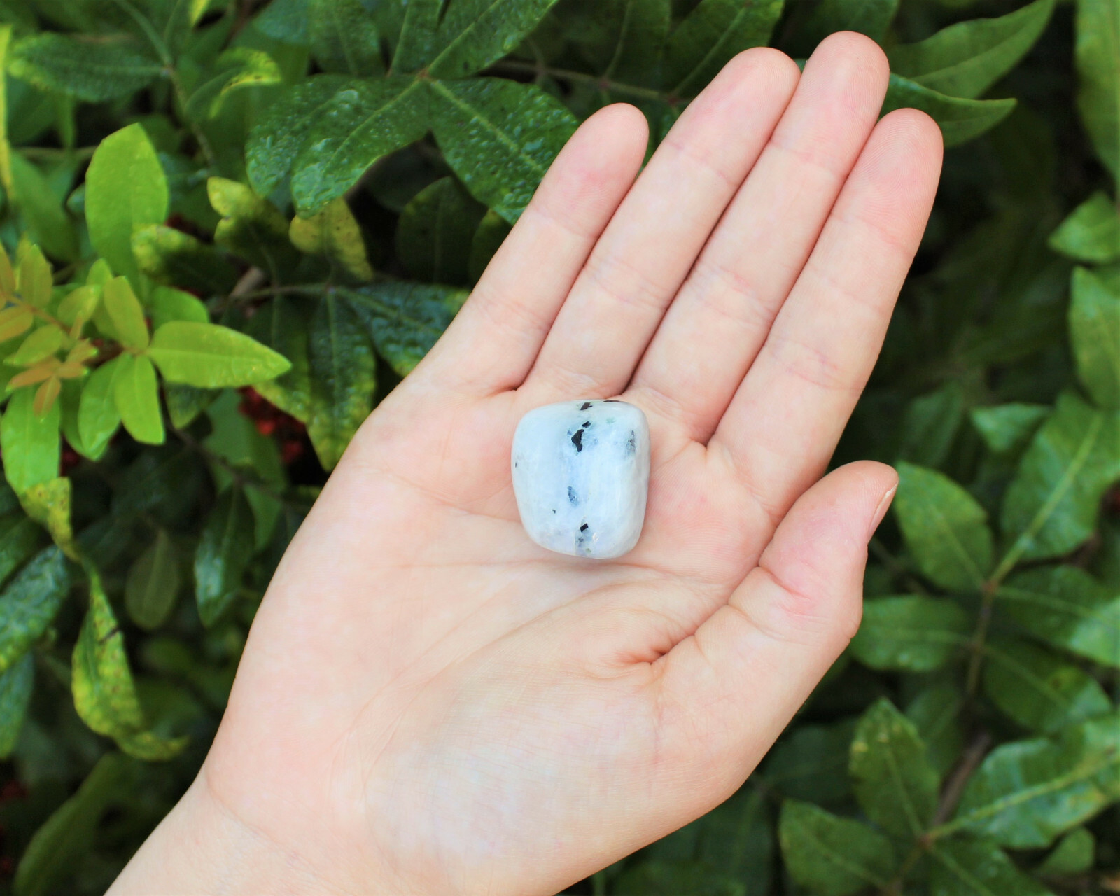 Rainbow Moonstone 1 MEDIUM/LARGE Tumbled Stone Crystal Healing (0.75″ – 1″)