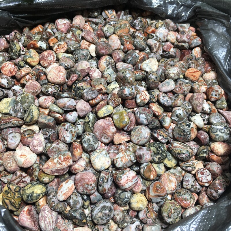 50g Leopard stone polish Tumbled stone healing reiki small size 4-9mm