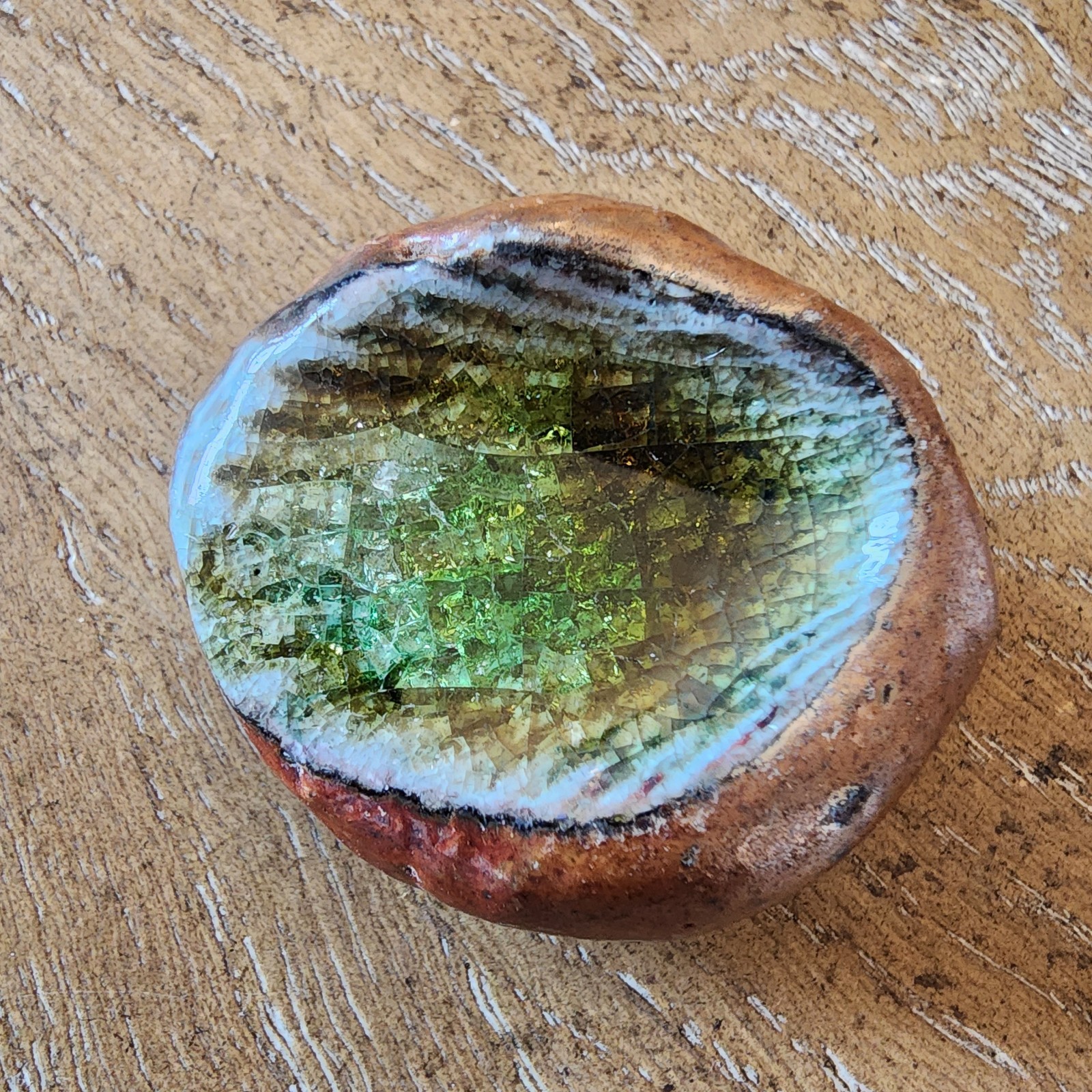 Fossilized Sea Shell Rock Green Crystals Preserved With Clear Coating