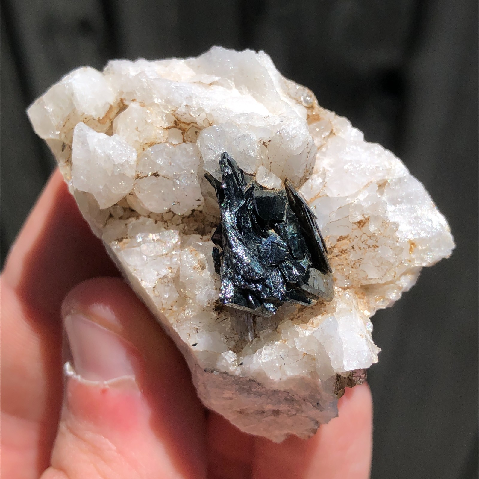 5.1cm Hematite Crystals on Quartz Matrix from Col du Sabot, France