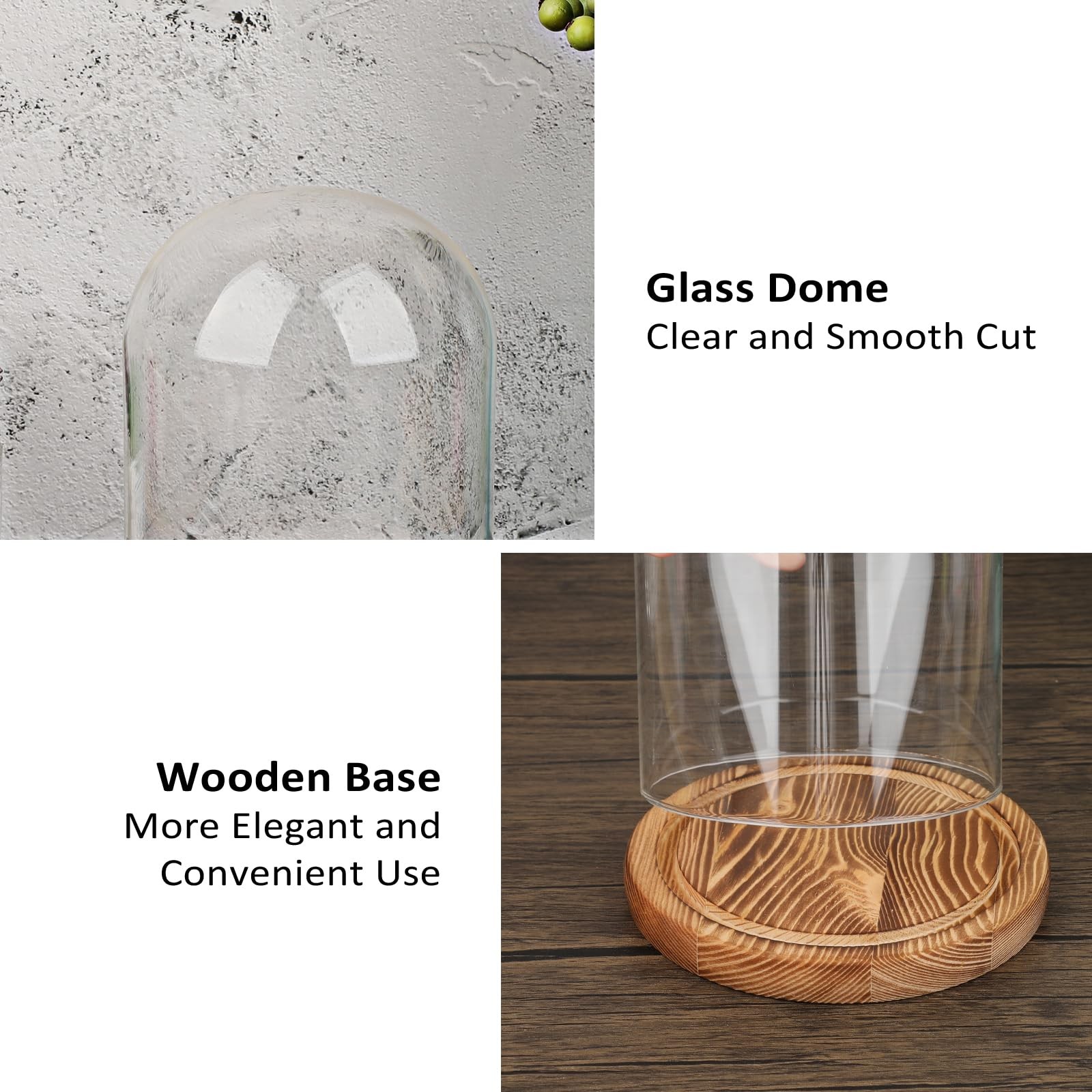 Glass Display Dome Cloche with Solid Wood Base, Clear Dome Bell Terrarium Jar…