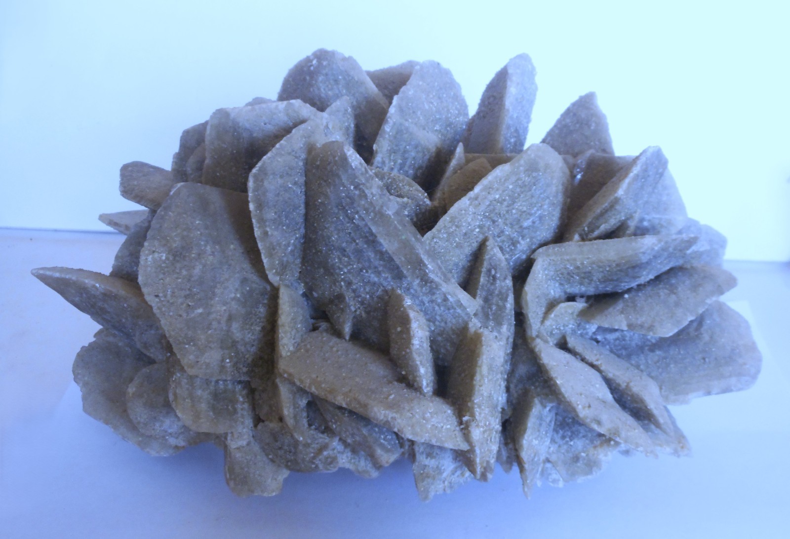 Huge Desert Rose Selenite. Natural. Gypsum. Saudi Arabia 9.0″ (23 cm). 7.1 Lb