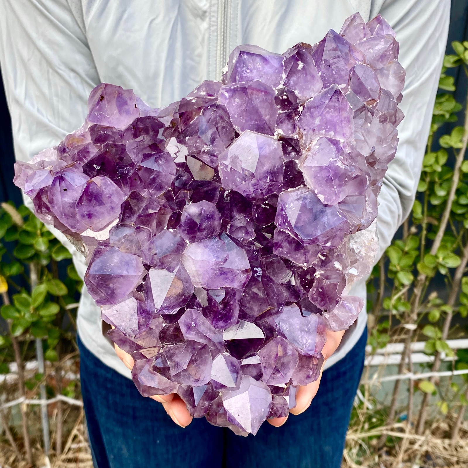 8.8LB Natural Amethyst geode quartz cluster crystal specimen Healing