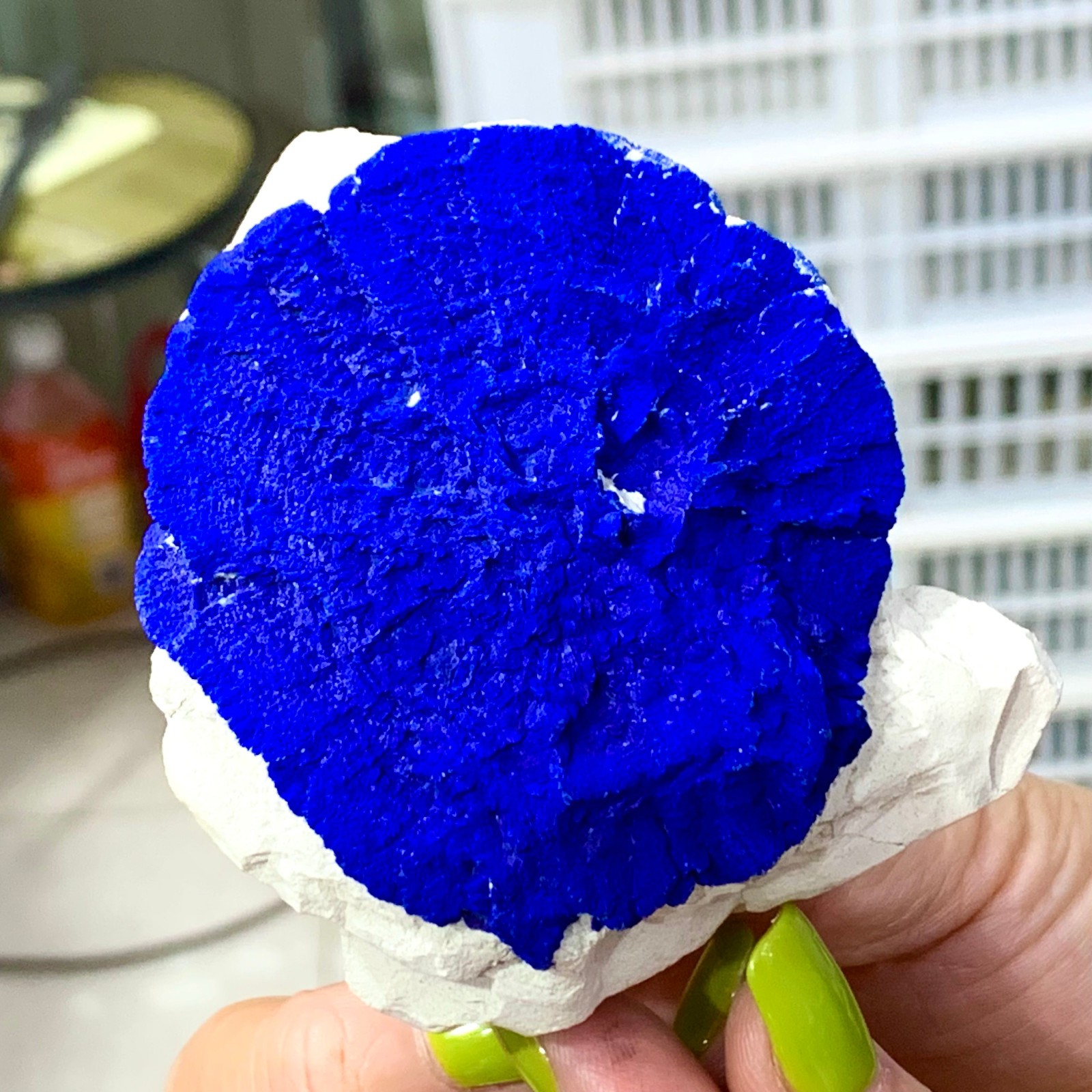 147G Sunflower azurite Fantastic Azurite Suns On Kaoline from Malbunka Australia