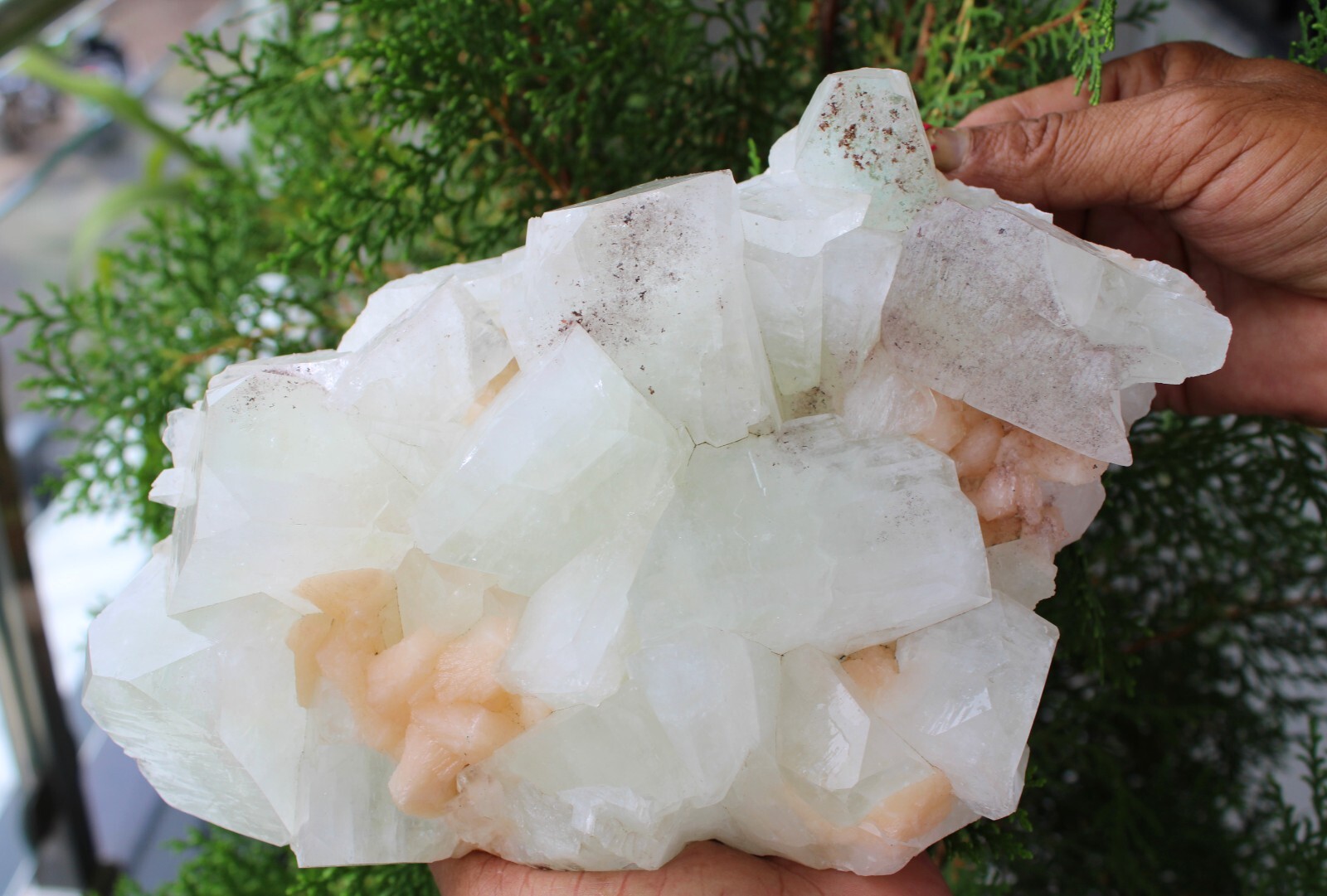 Green Apophyllite Crystals With Stilbite On Matrix Minerals Specimen
