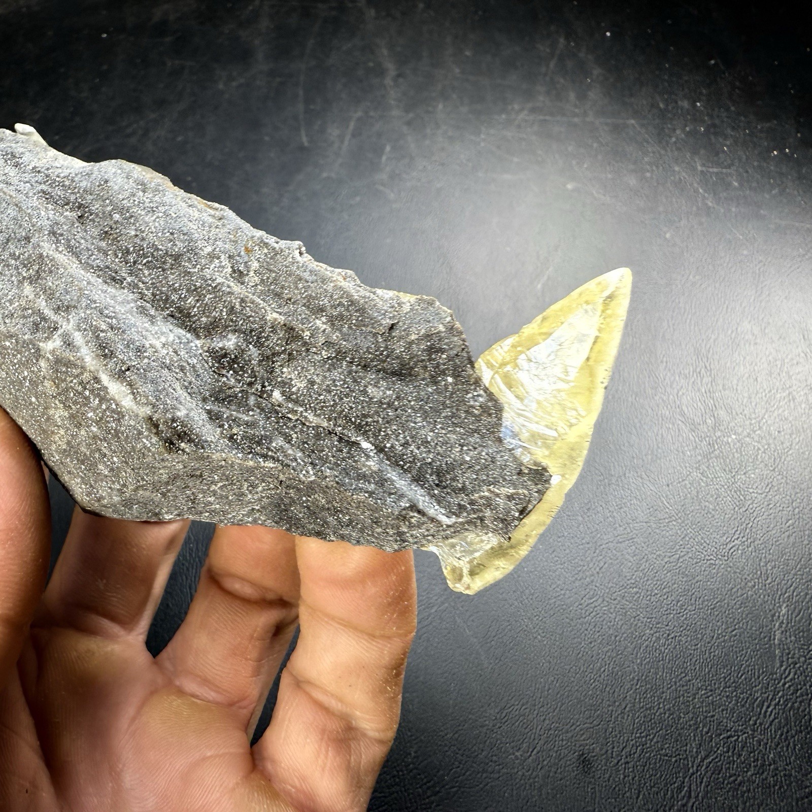 Calcite Crystals with Chalcopyrite Pyrite & Dolomite on Matrix / Missouri