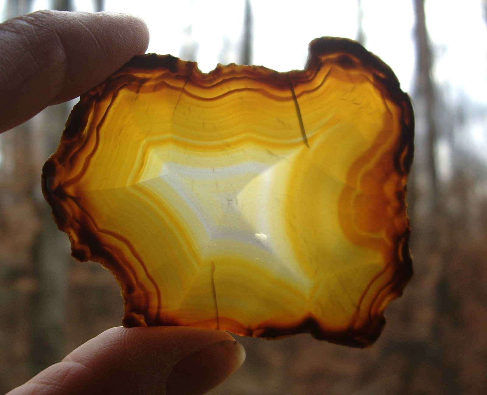 Rare Polished “Iris Agate” Slice with Backlight Color Bands from Indonesia 13.3g