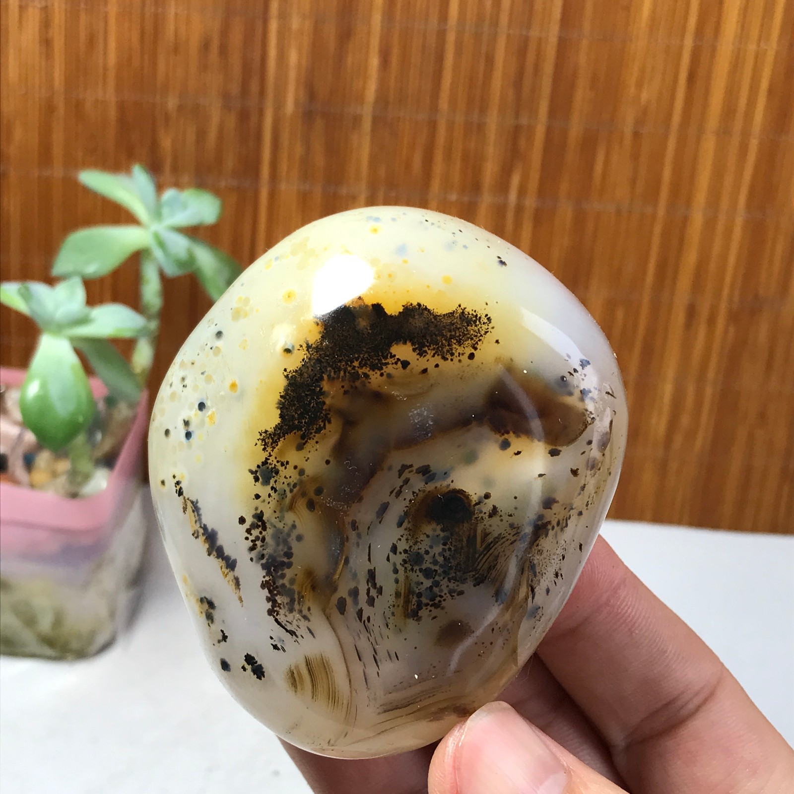 71mm Natural aquatic plants agate pretty Crystal specimens 210g A1637