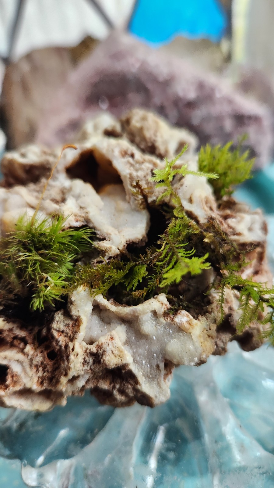 Druzy Quartz Rock Natural Planter Moss Or Succulent Bonne Terre Missouri
