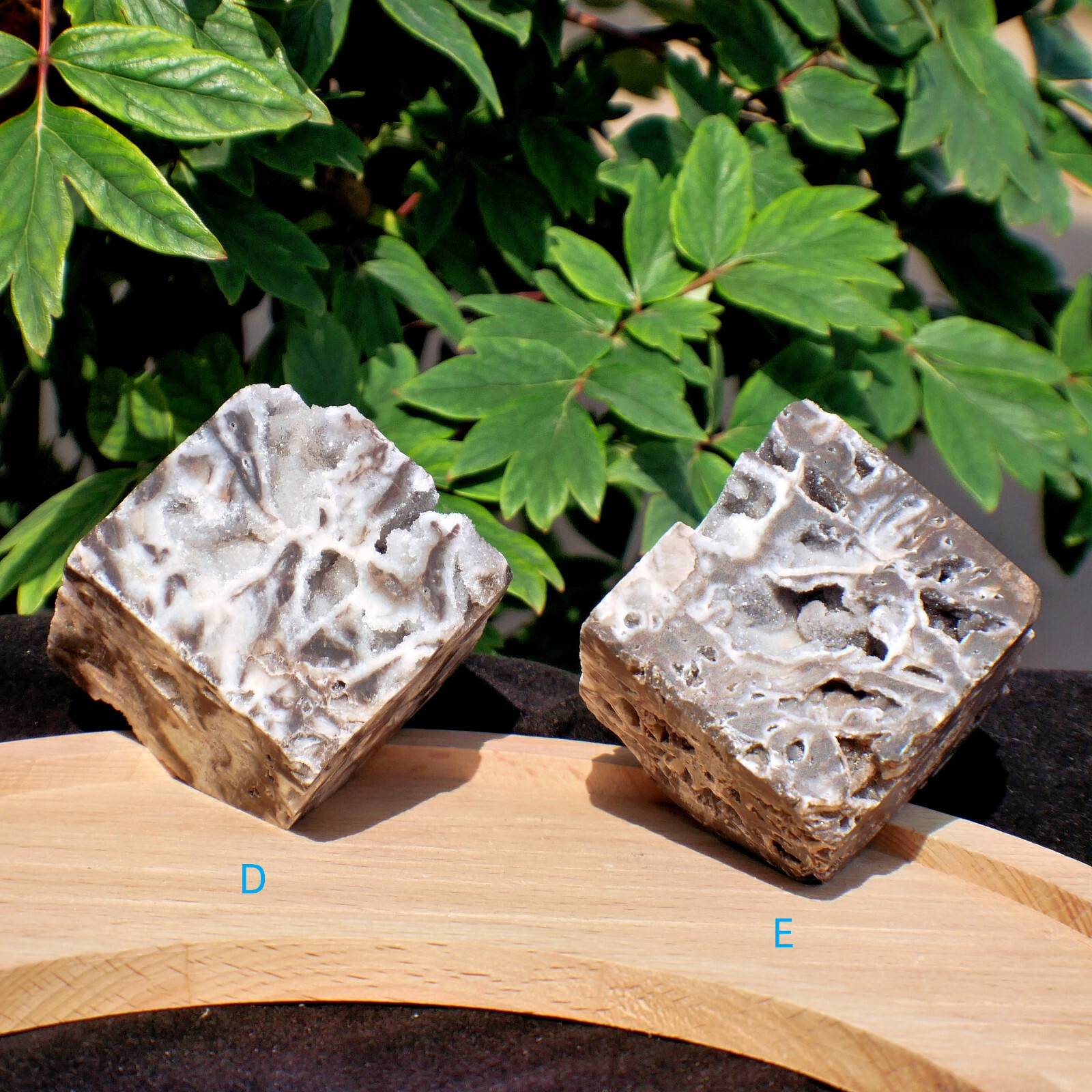 2″ Sphalerite Druzy Geode Cube Crystal Healing Gemstone Natural Mineral Specimen