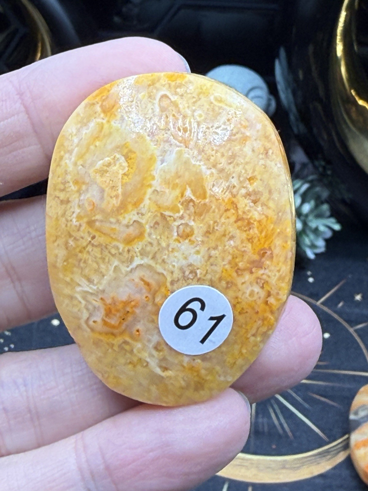 Natural Bumblebee Jasper Palms Druze vugs raw Free shipping