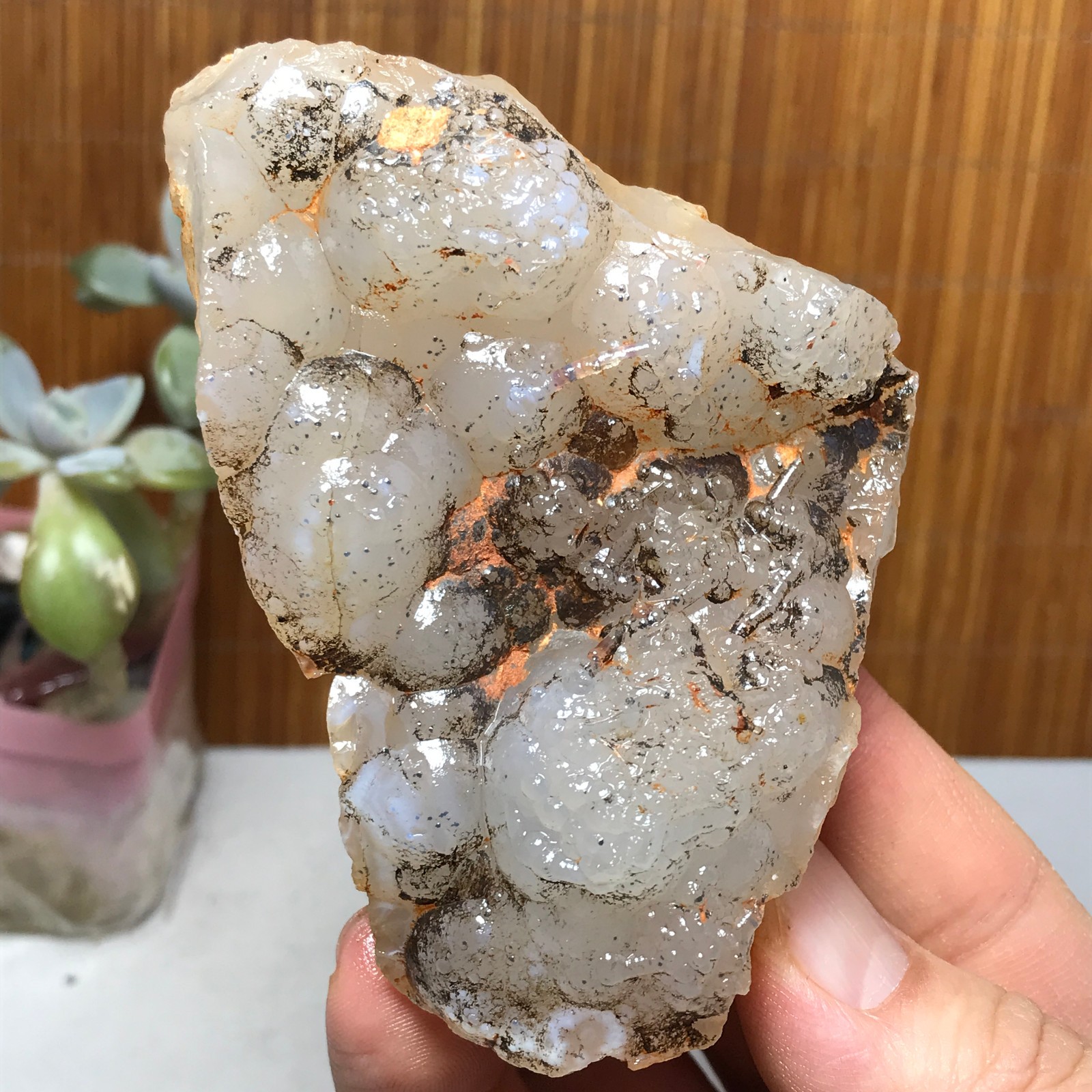 Natural Bonsai Suiseki Gobi Agate Eyes Stone-Stunning original View 146g A2830