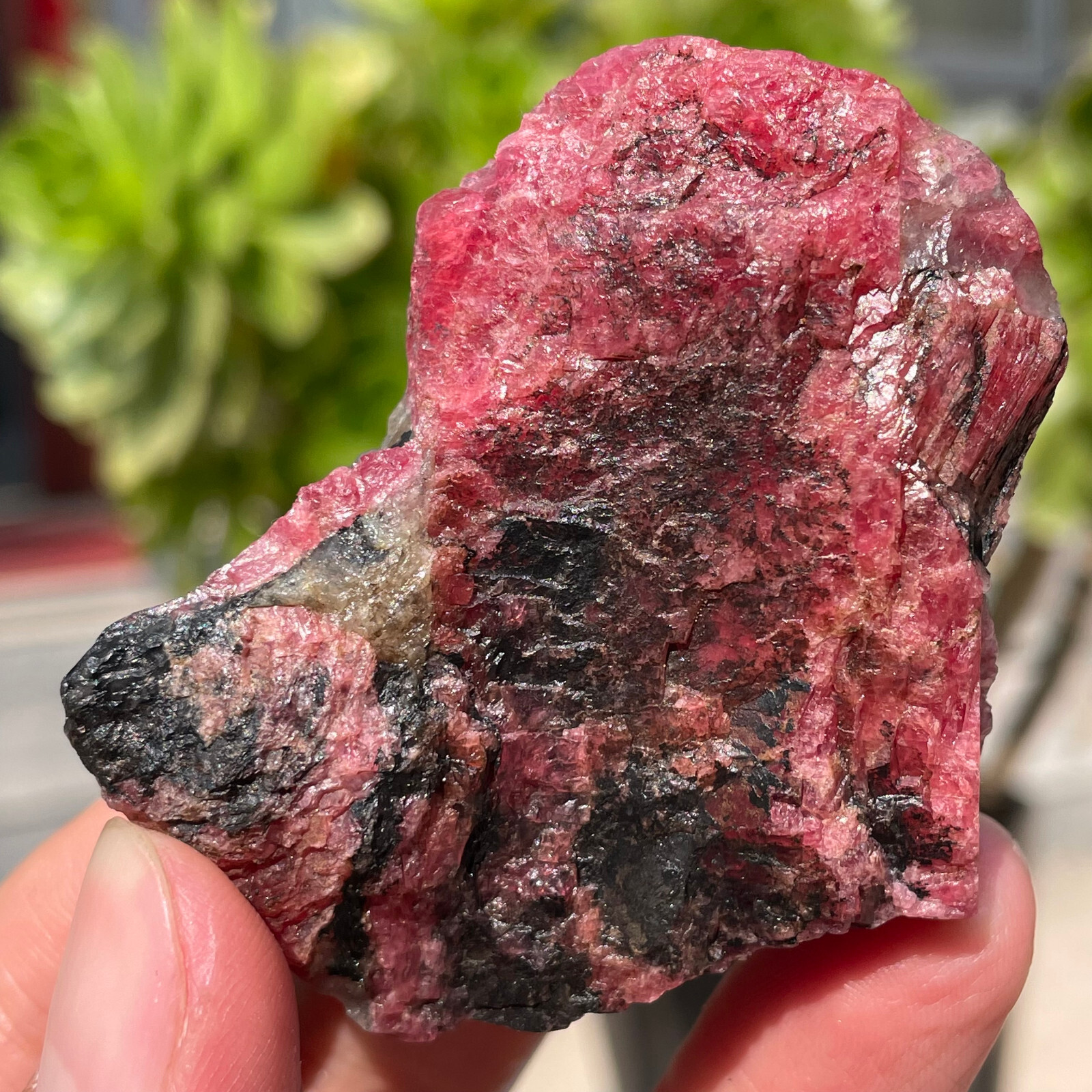 91g Small Rough Stone Natural Red Black Rhodonite Quartz Crystal Specimen