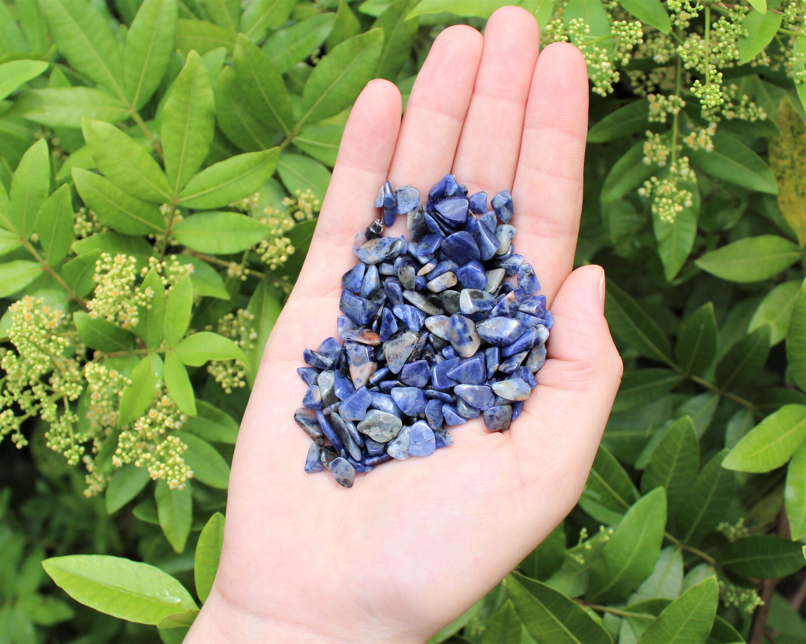 Sodalite Semi Tumbled Gemstone Mini Chips 5 – 8 mm Lots (Sodalite Crystal Chips)
