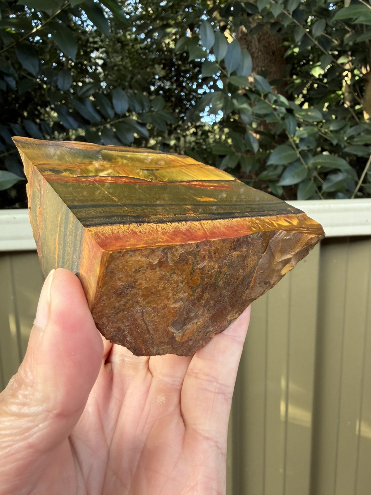 Aussie Tiger Eye – Mara Mamba W.A Polished back End Cut Slice 784g Nice