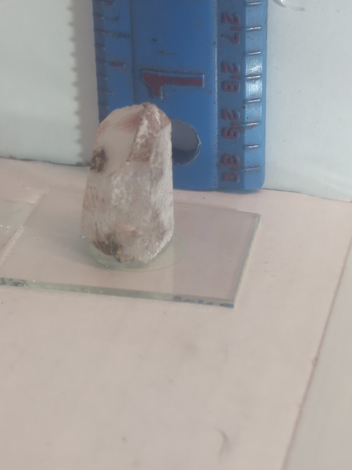 Rose Quartz Point Hand Dug Colorado United States Crystals Specimen Science