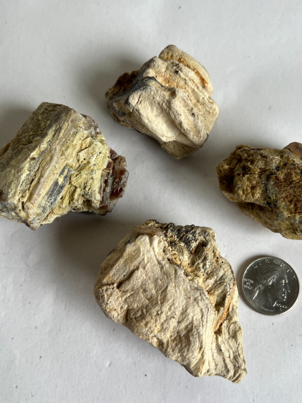 petrafied wood assorted random agatized opalized rocks raw collectables