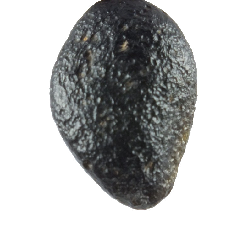 Australite Tektite, Sandpit nr Port Campbell. Victoria Australia (EA10445) Boxed