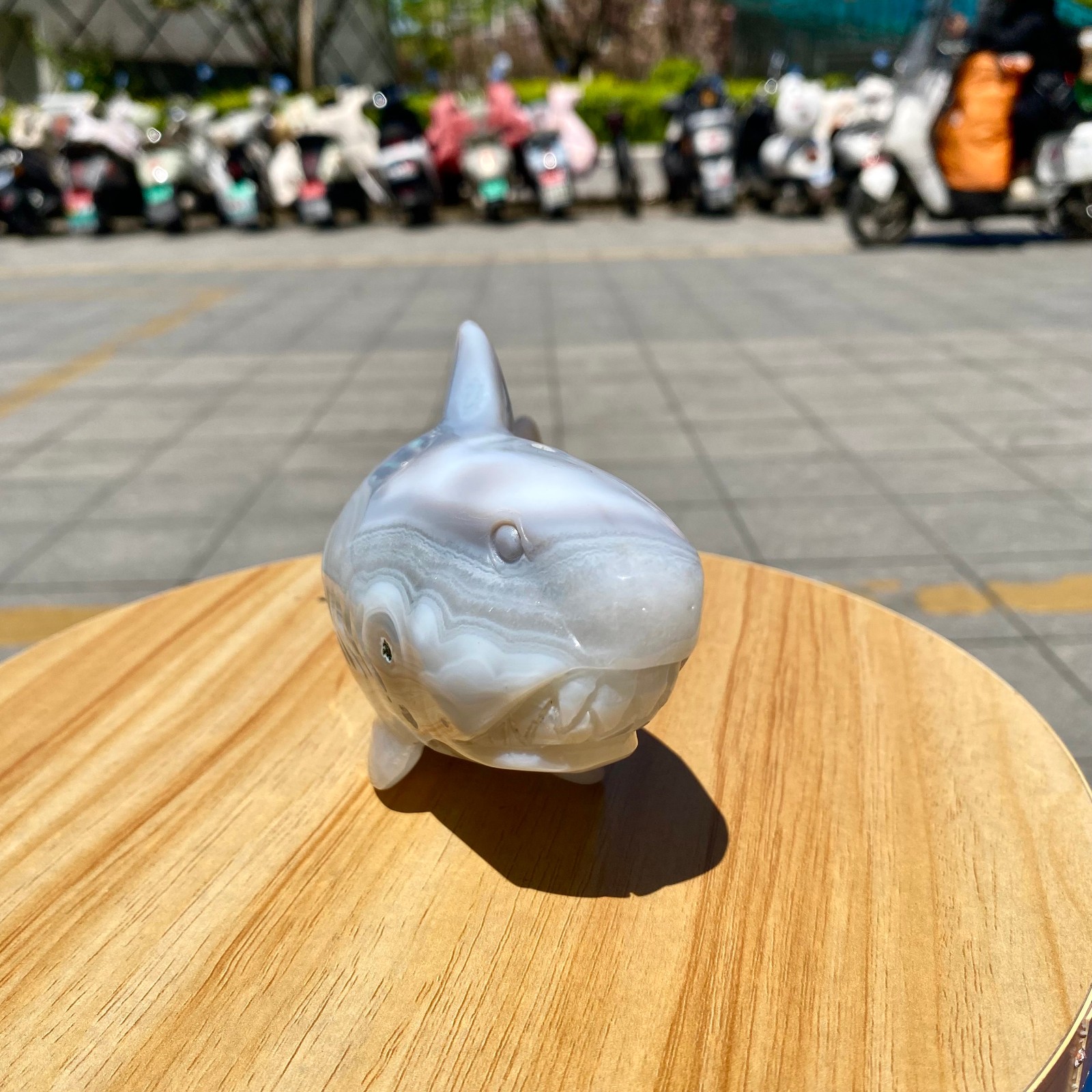 1.41LB Natural Agate Hand Carved Shark Figurine, Ocean Power Crystal Statue