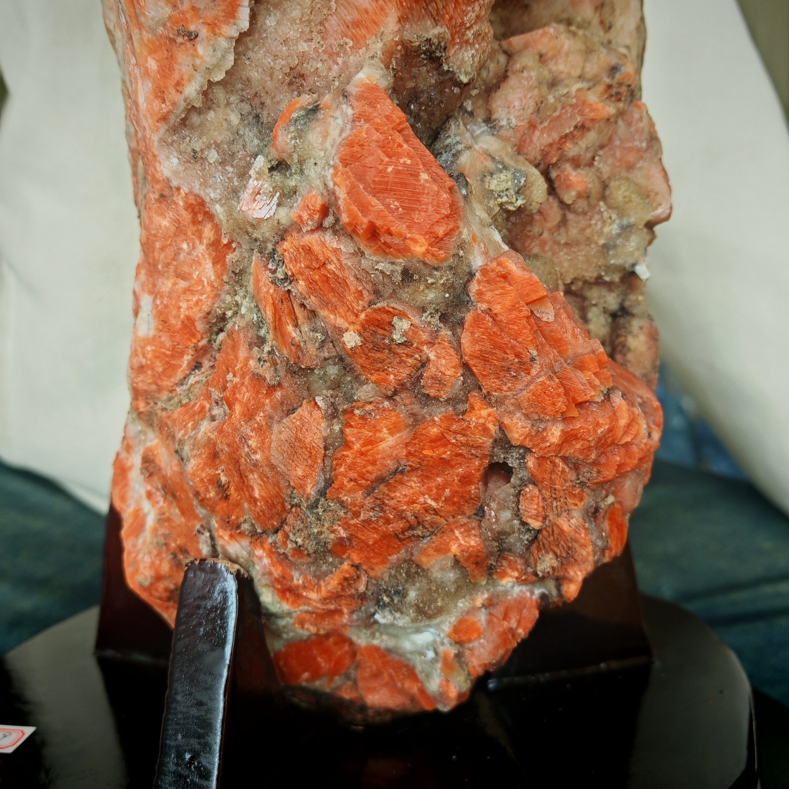 41.096LBNatural Sun Stone Sea Blue Treasure Symbiotic Primitive Stone Specimen