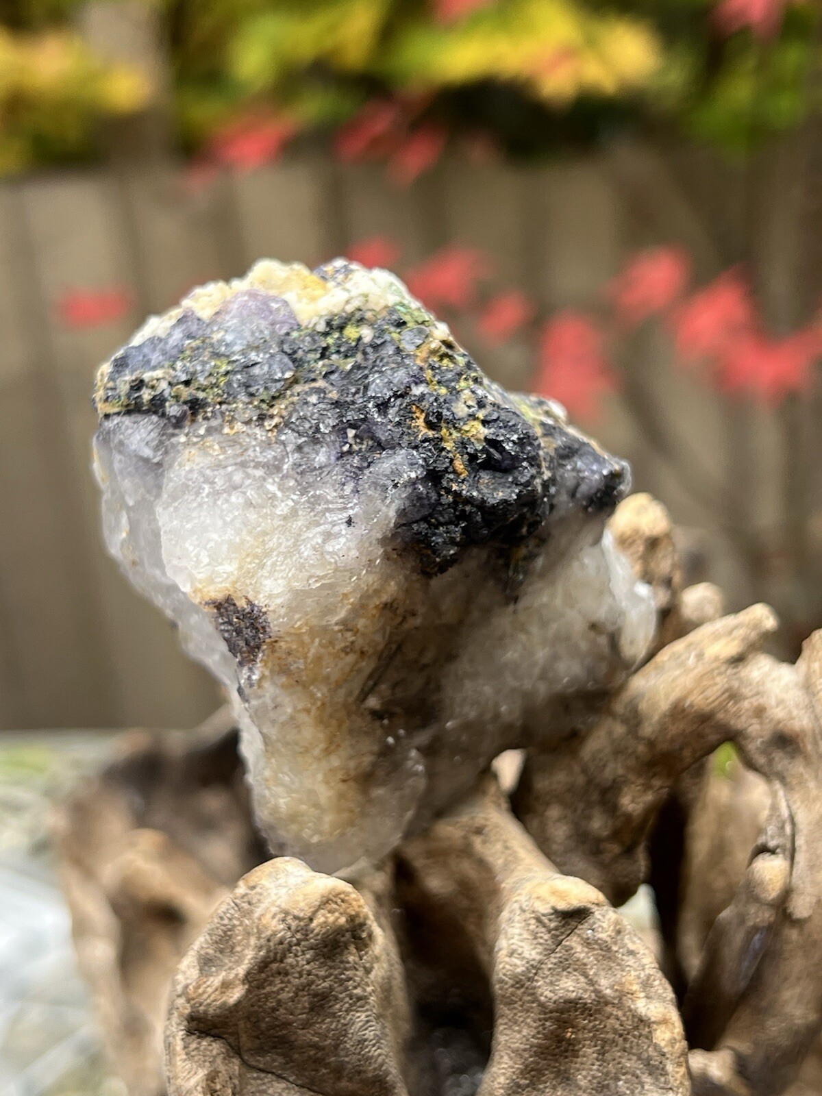 Blue John Fluorite Mineral Specimen United Kingdom 240g 17