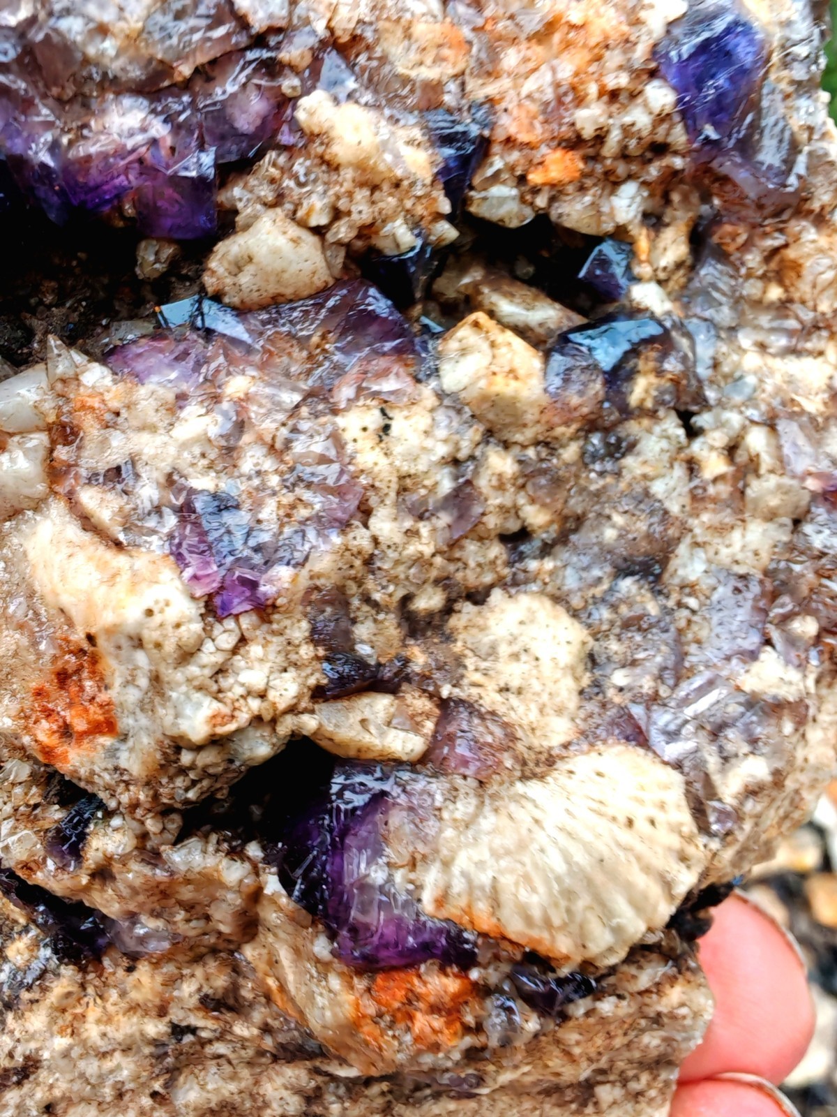 Blue John Fluorite Large Raw Crystal Cluster On Fossil Matrix