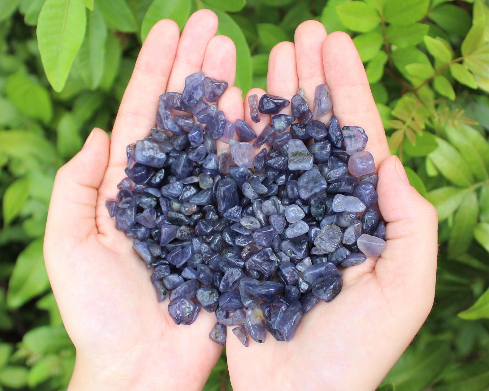 Iolite Semi Tumbled Gemstone Mini Chips 5-15 mm, ‘A’ Grade Wholesale Bulk Lot