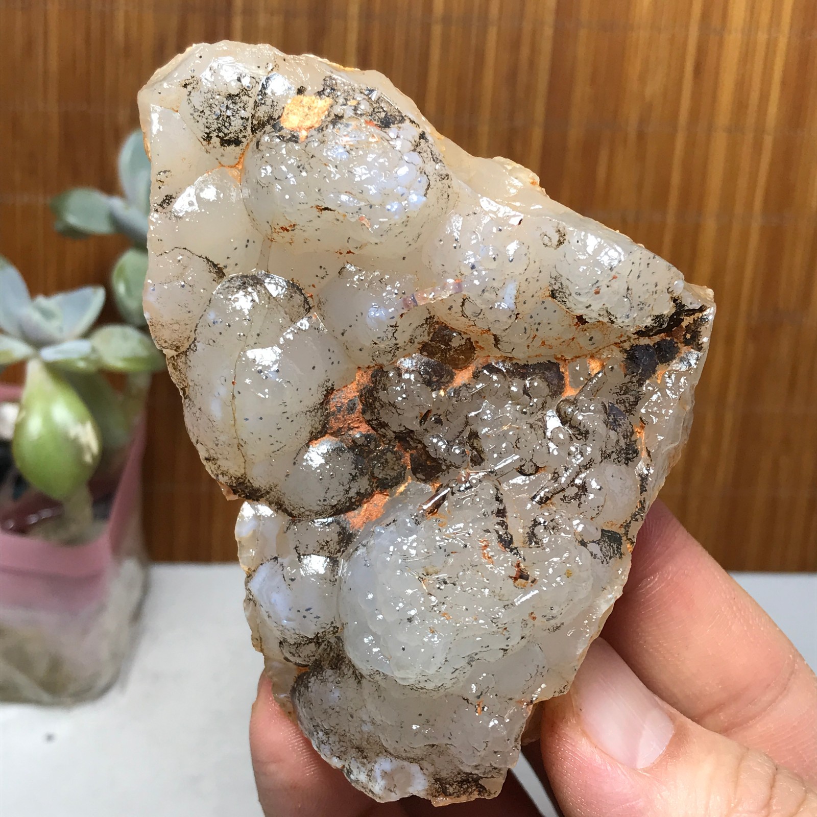 Natural Bonsai Suiseki Gobi Agate Eyes Stone-Stunning original View 146g A2830