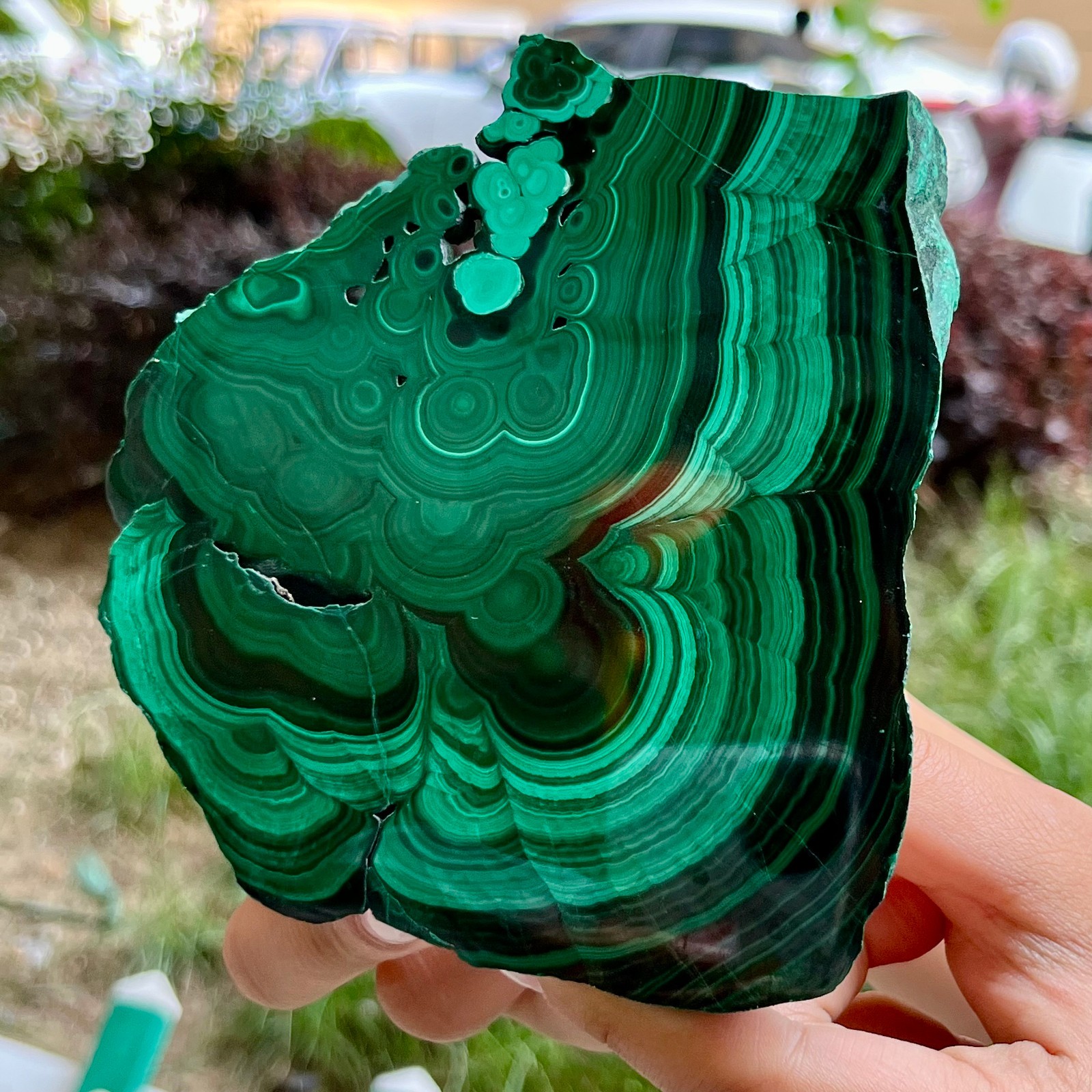 525 g Malachite Polished Slab Green Banded Agate Look Mineral Specimen Reiki
