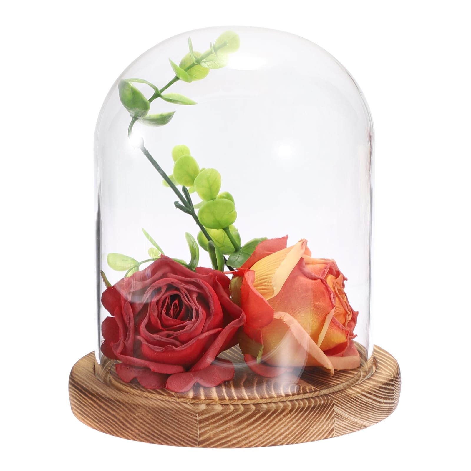 Glass Display Dome Cloche with Solid Wood Base, Clear Dome Bell Terrarium Jar…