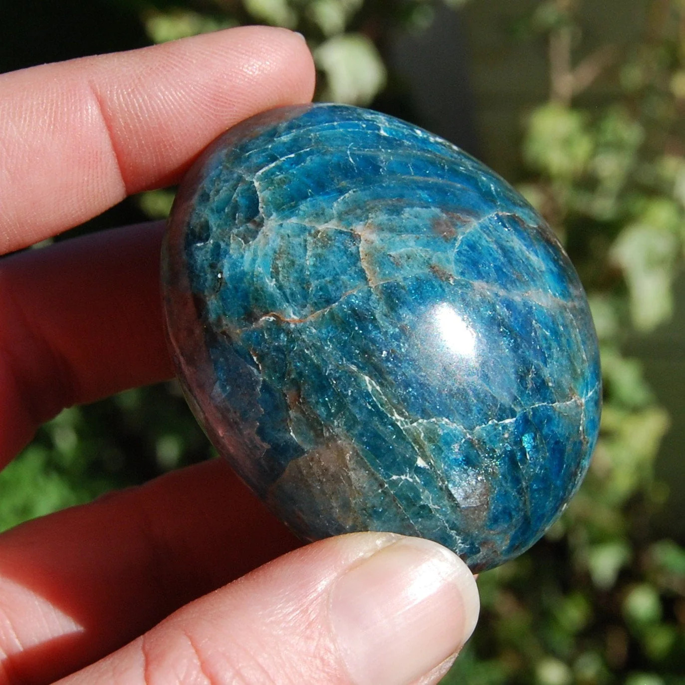 ONE Natural Gemmy Apatite Crystal Palm Stone, Madagascar