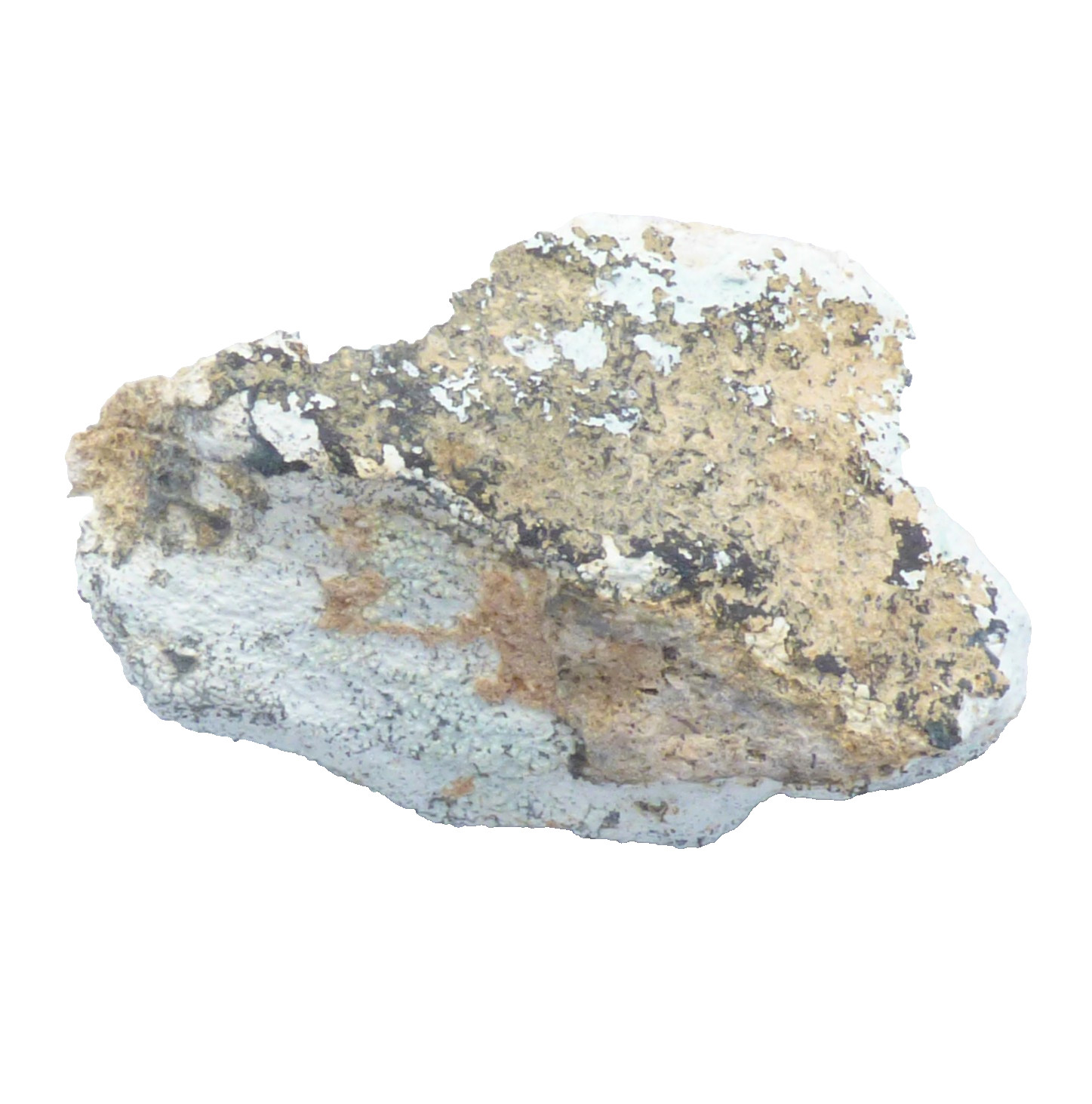 Solid Turquoise Mineral Specimen Island Park Idaho Natural Unpolished 4cm 19g