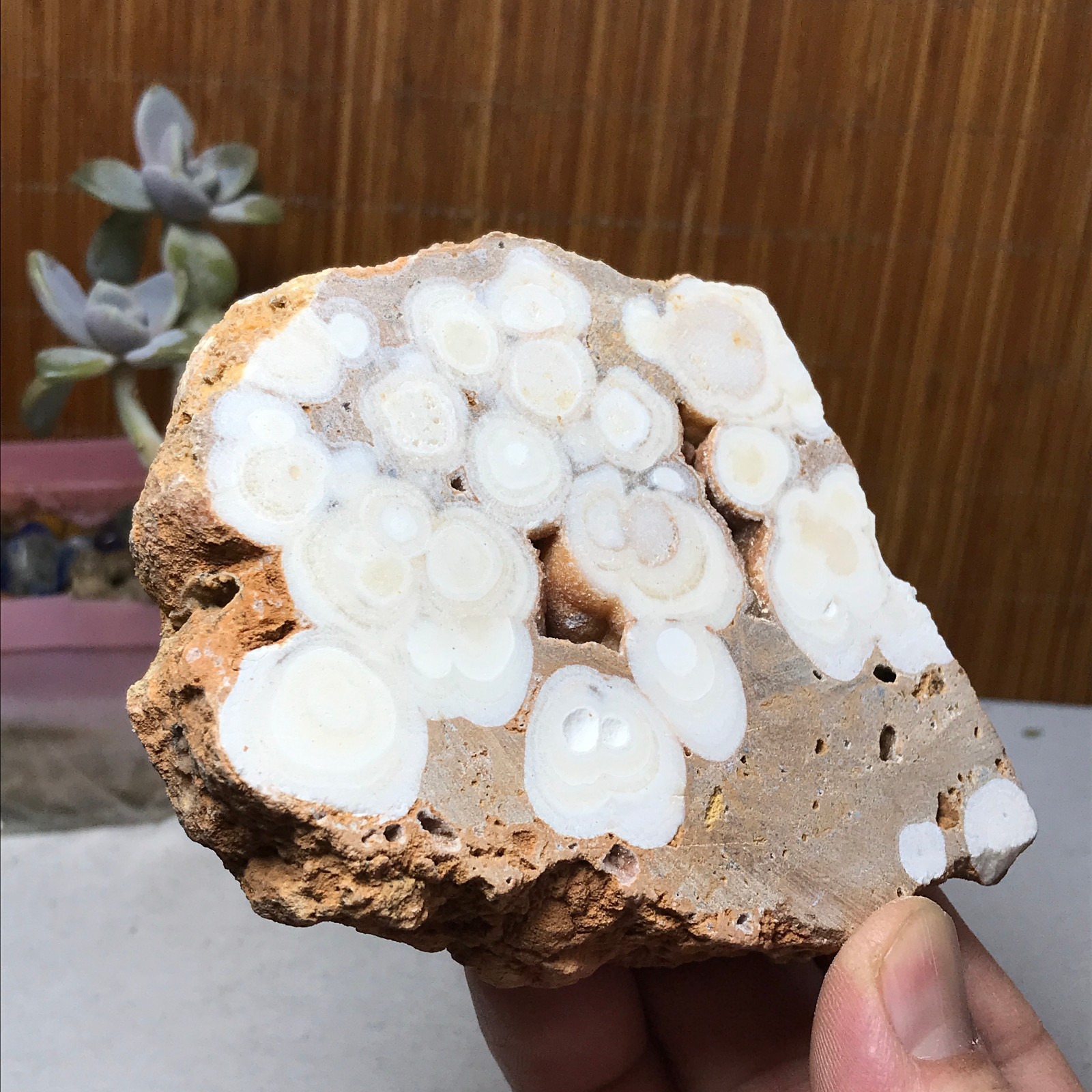 89-82-17mm Natural sakura slice Crystal gemstone Rough Specimen 233g A3301