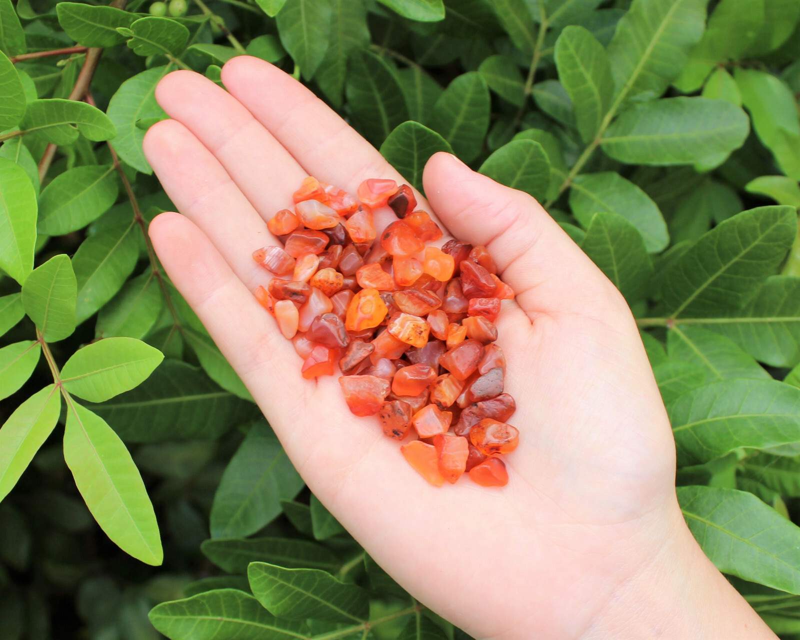Carnelian Semi Tumbled Gemstone Mini Chips 5-15 mm, ‘A’ Grade Wholesale Bulk Lot
