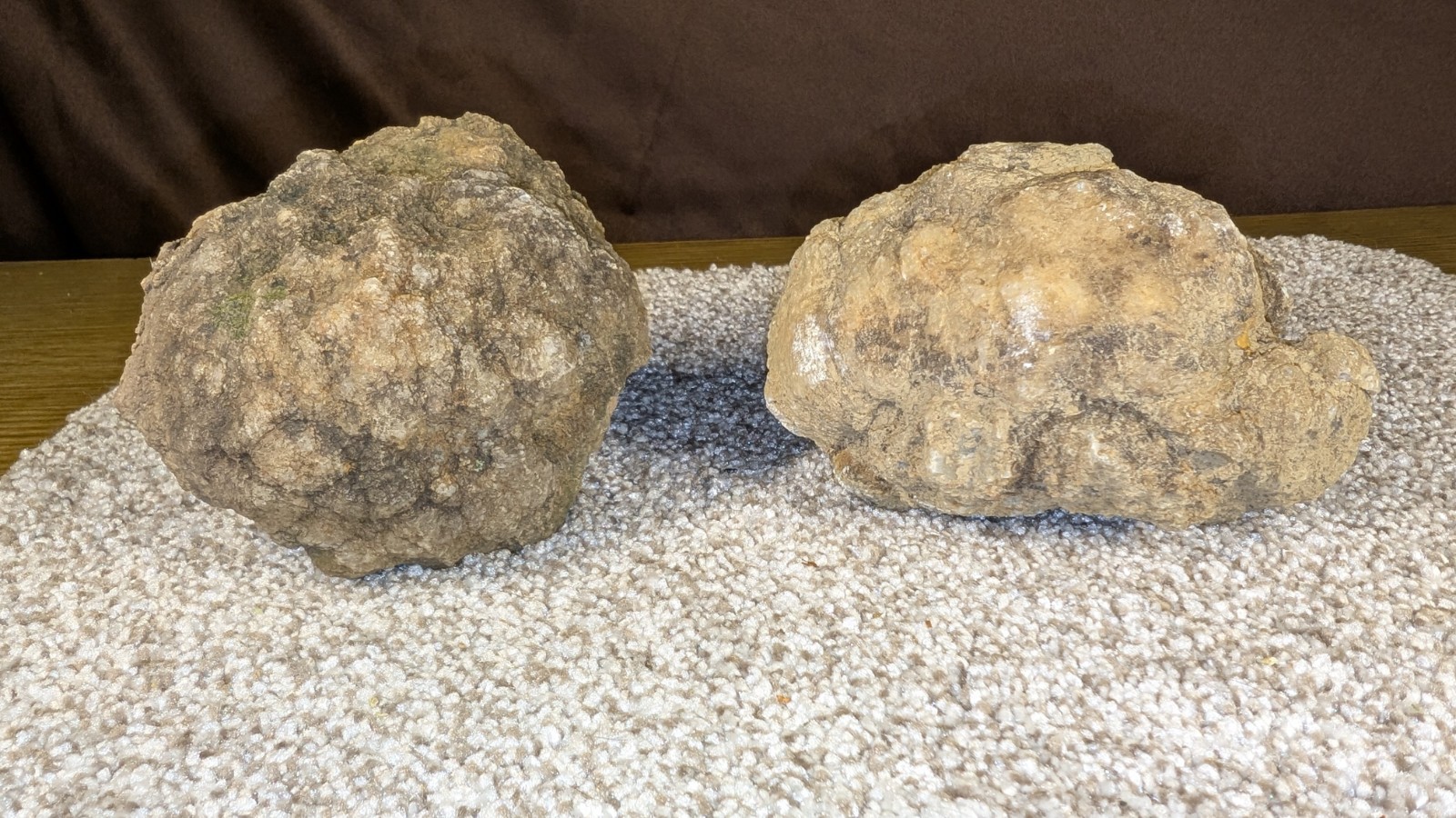 Geode Set Of 2 – Crack your own Native to Indiana Raw Rock