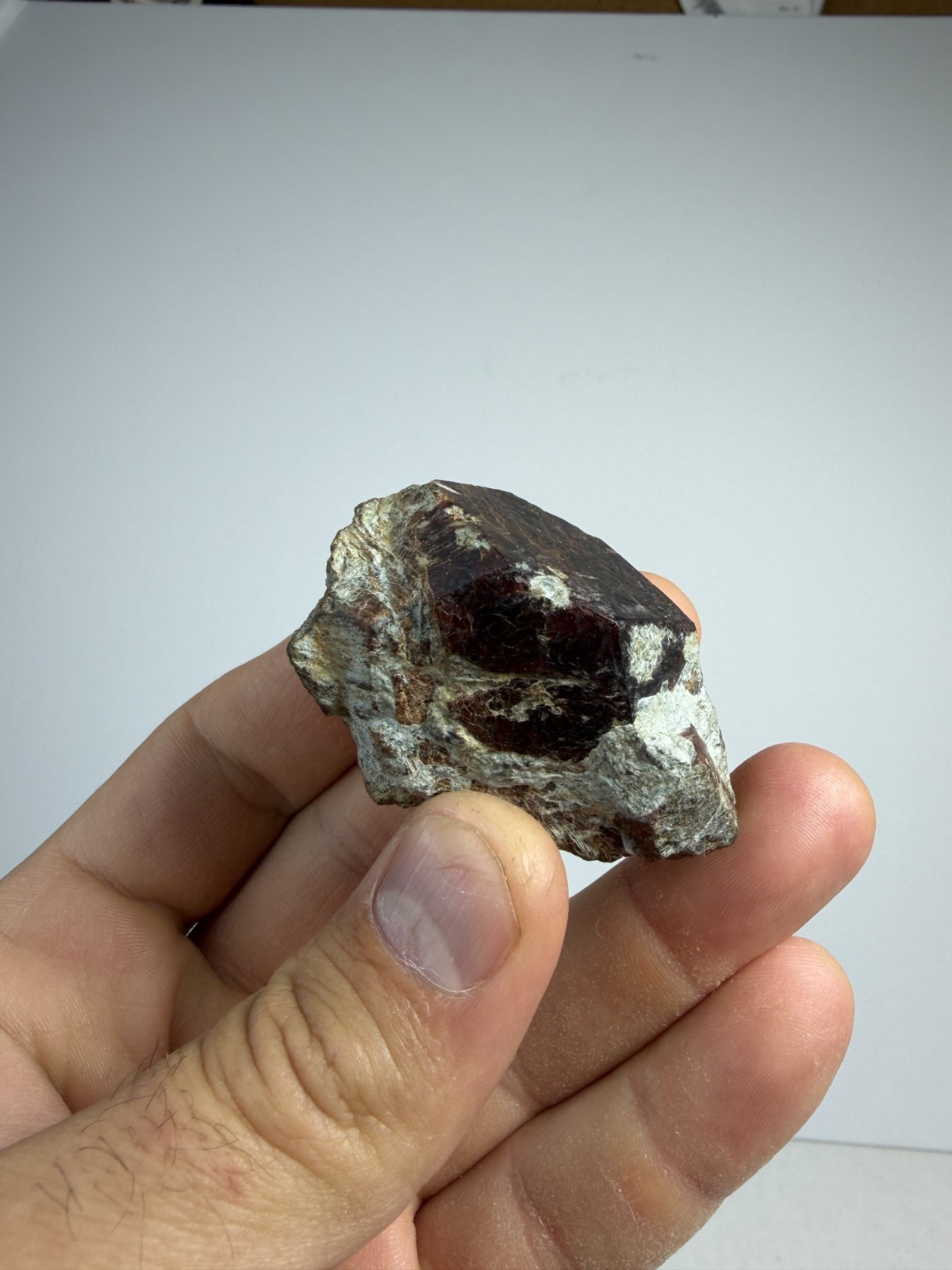 Large Red Garnet Crystal | North Carolina | Little Pine | Mineral | Specimen
