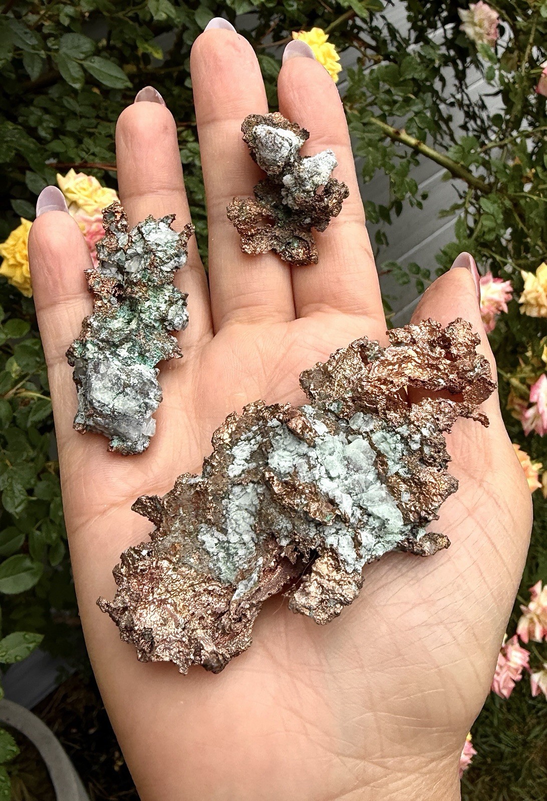 Wholesale Lot 2 Lbs Natural Copper Matrix Specimen Crystal Healing Energy