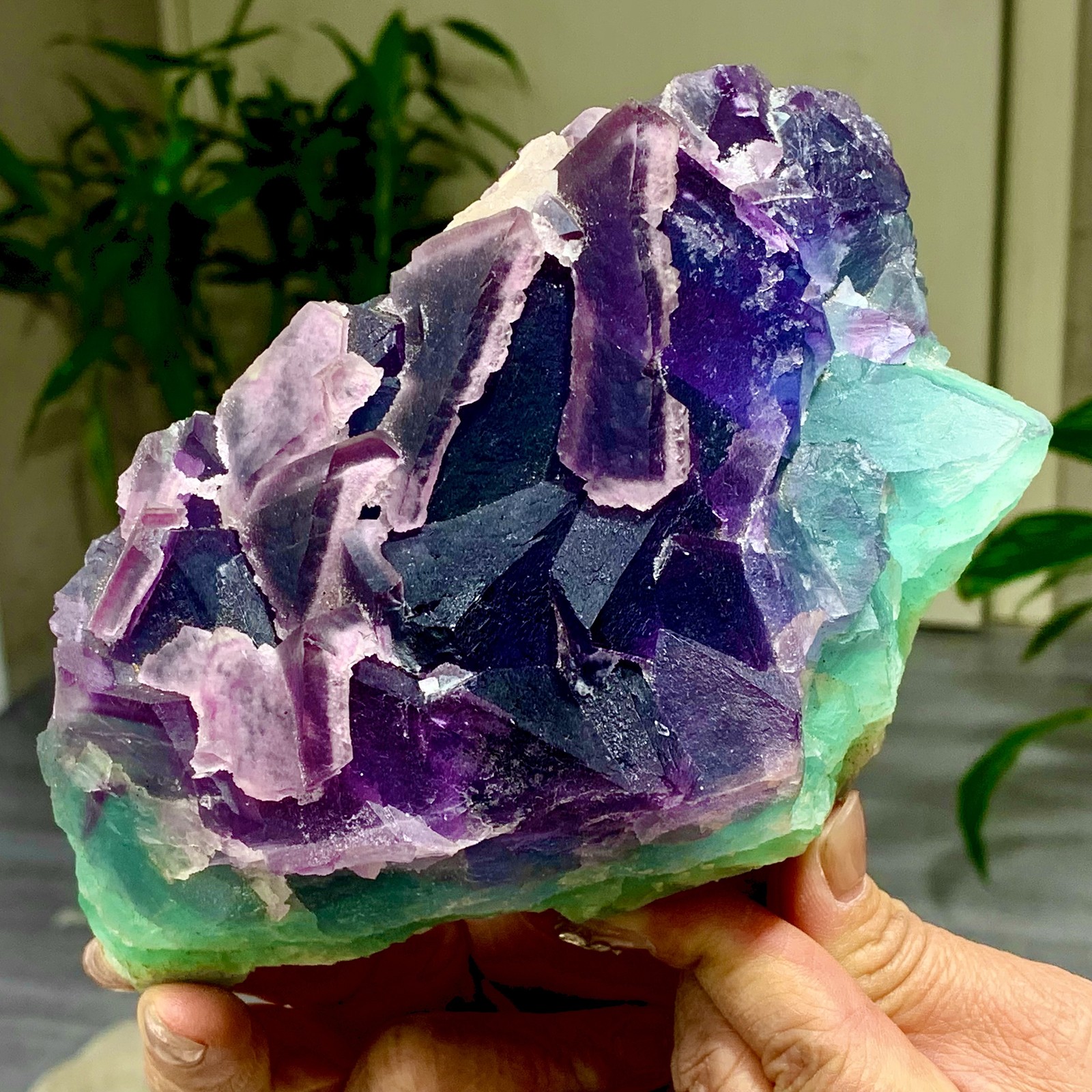 3.49LB Rare transparent purple-green cubic fluorite mineral crystal sample/China