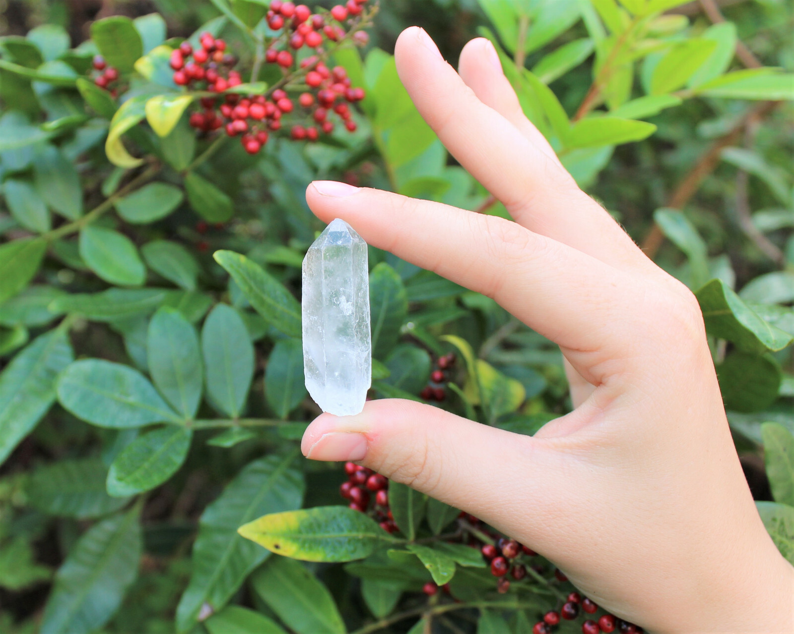 Lot of 3 LARGE Clear Quartz Point Crystals: 1″ – 1.5″ Crystal Points (US Seller)