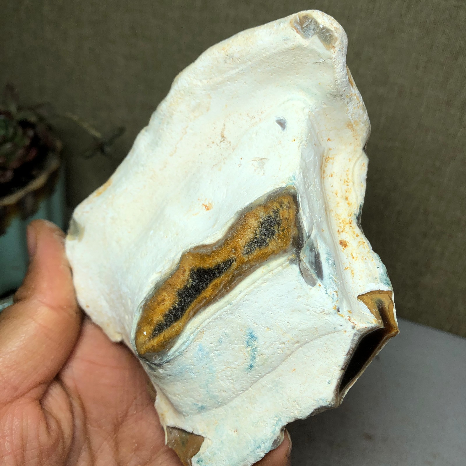 300g natural Bonsai Suiseki Gobi Agate Eyes Stone-Stunning original View A3717