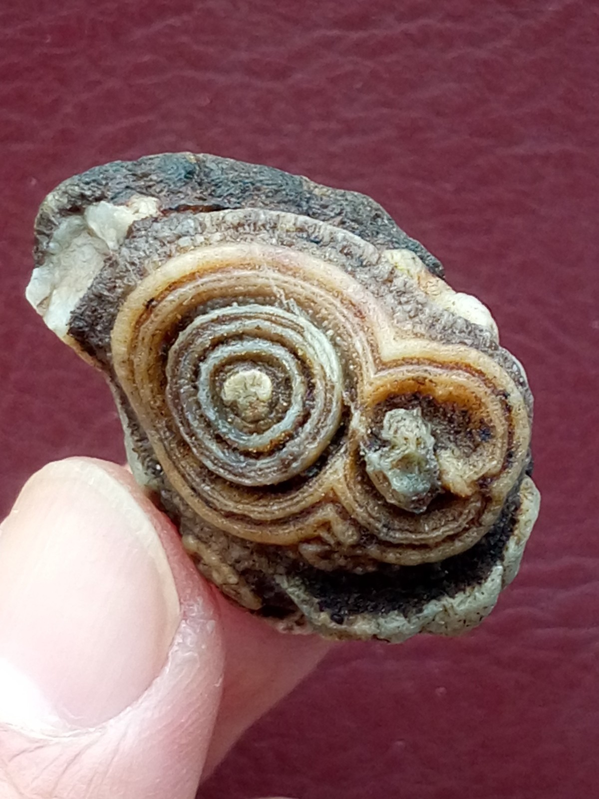 34mm Natural agate Gobi agate eye agate cute collection