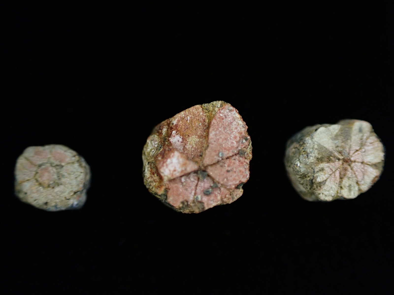 Cordierite Sakura-stone,Cherry blossom stone from Kameyama, Kyoto, Japan　SA01